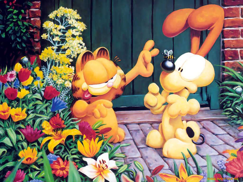 мультфильмы, garfield