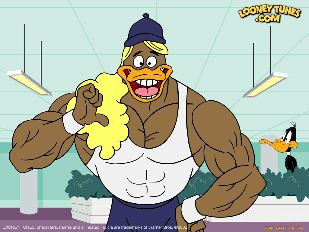 мультфильмы, looney, tunes