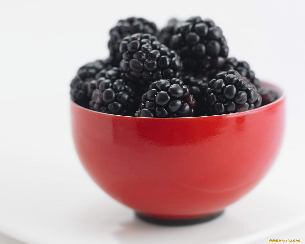 еда, ежевика