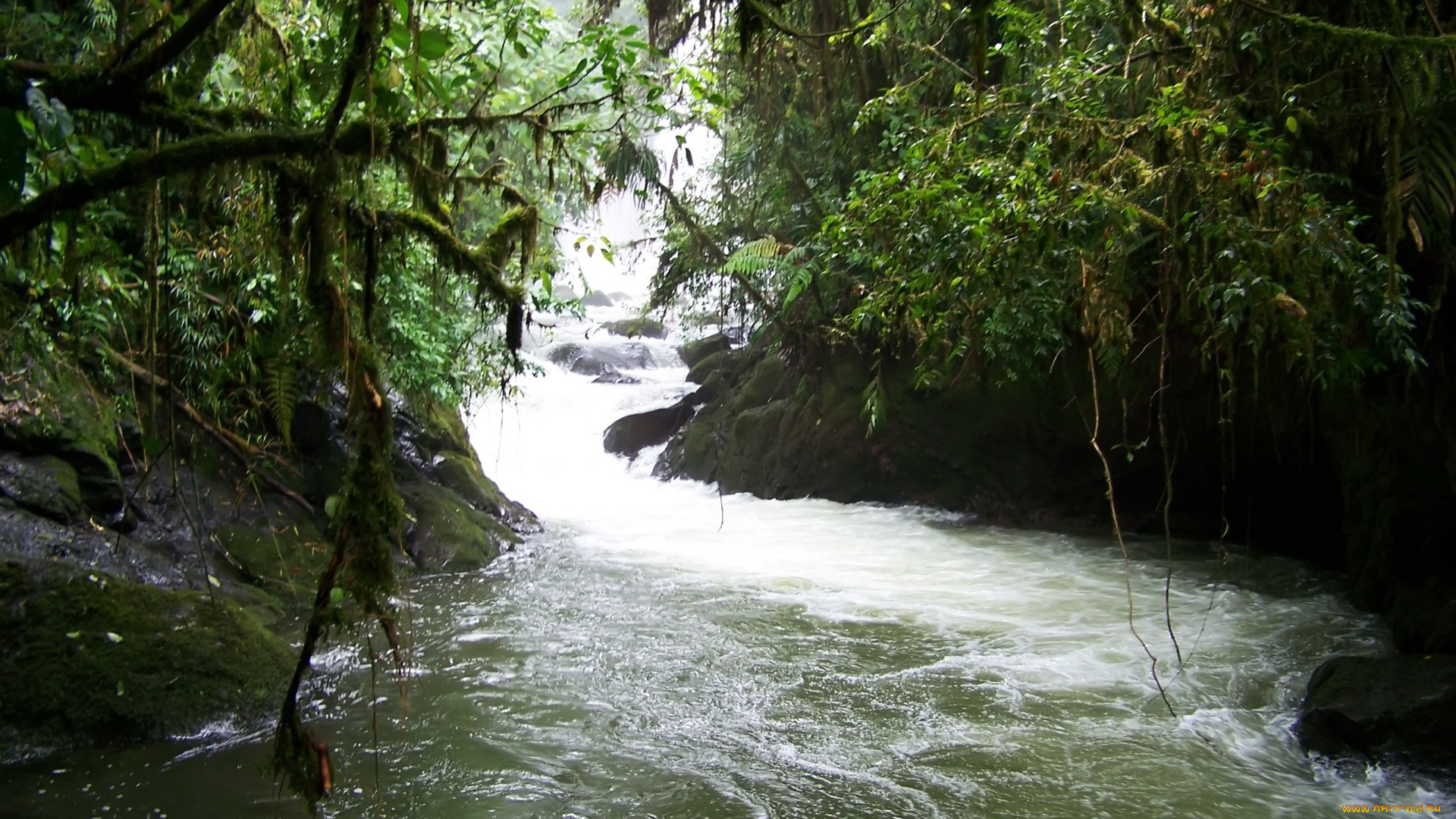 природа, реки, озера