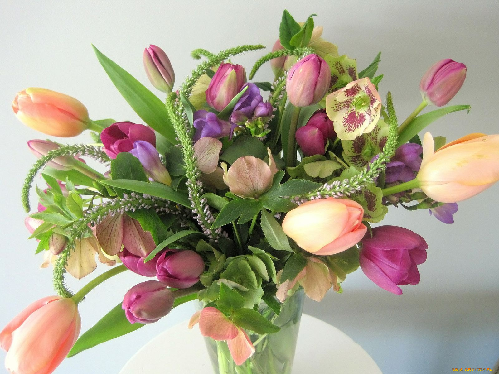 цветы, букеты, композиции