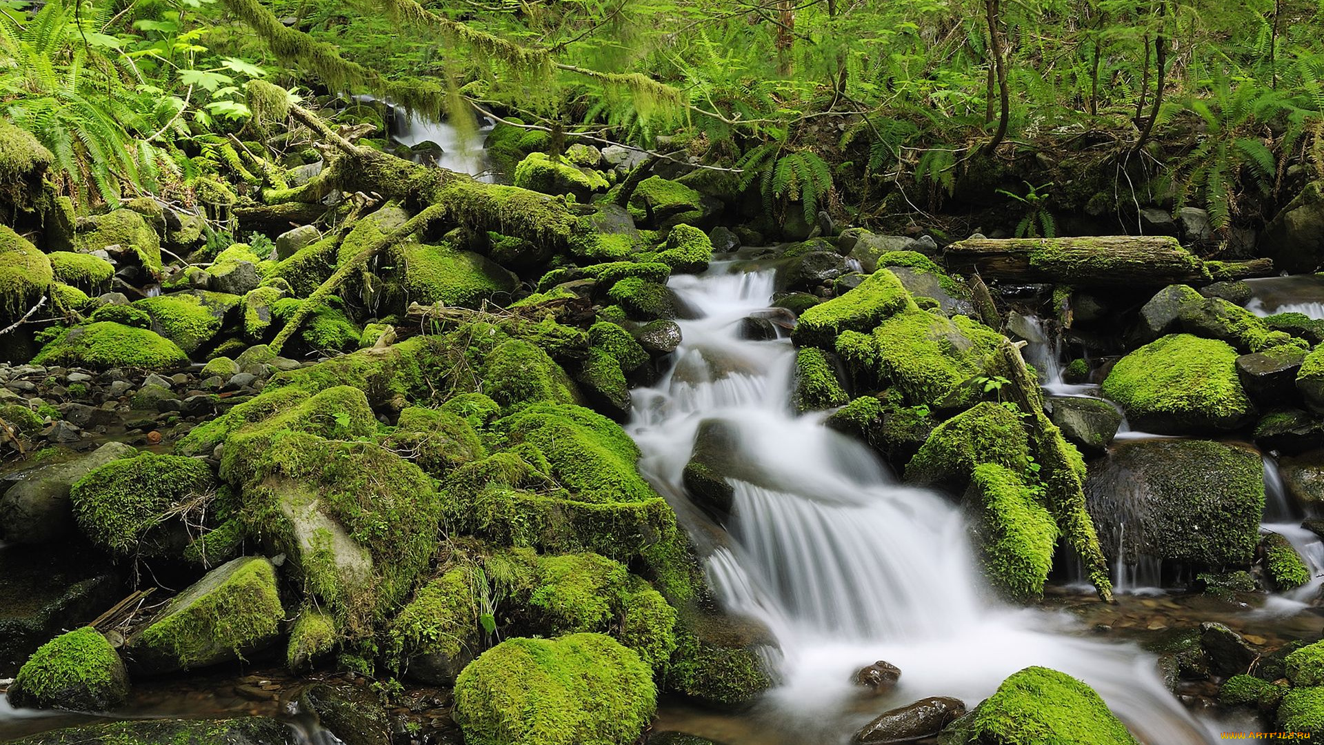 природа, реки, озера