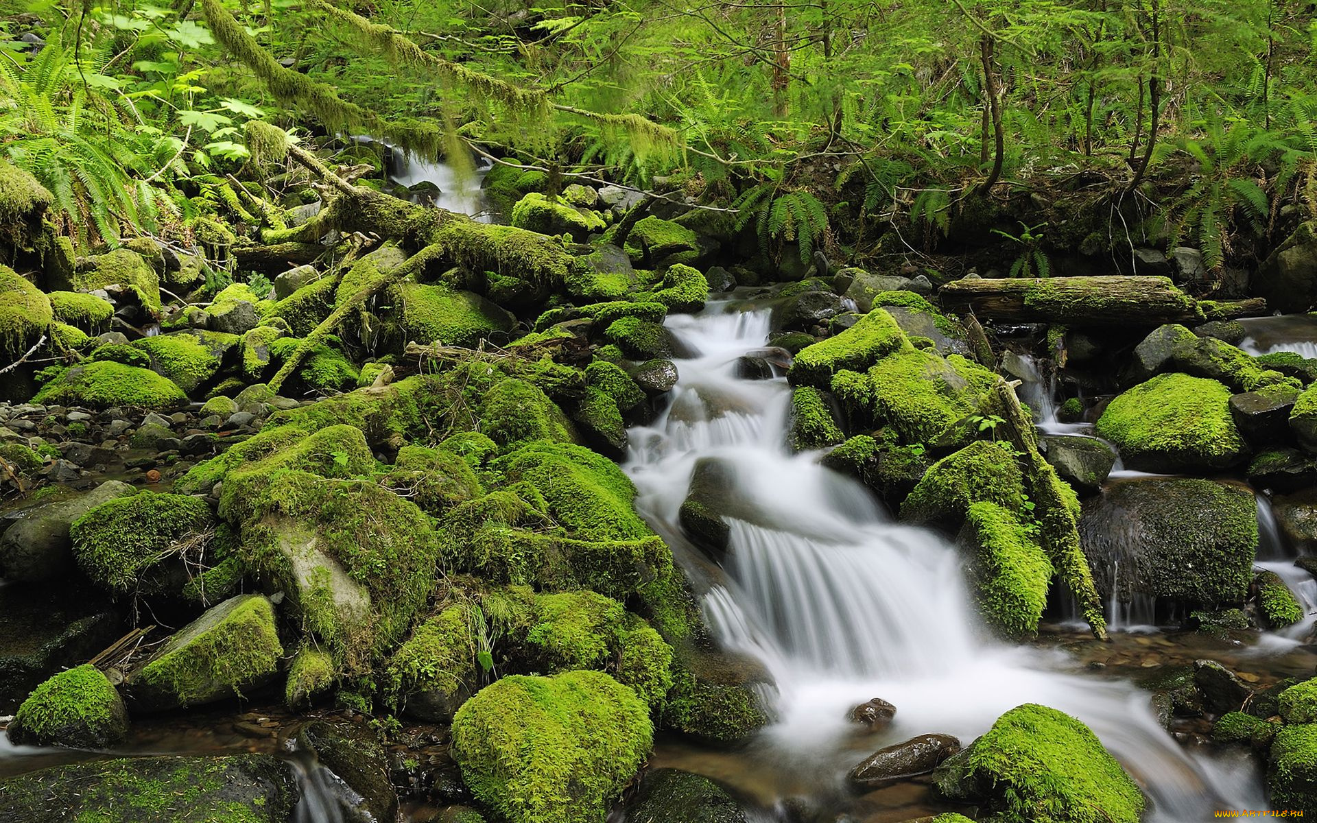 природа, реки, озера