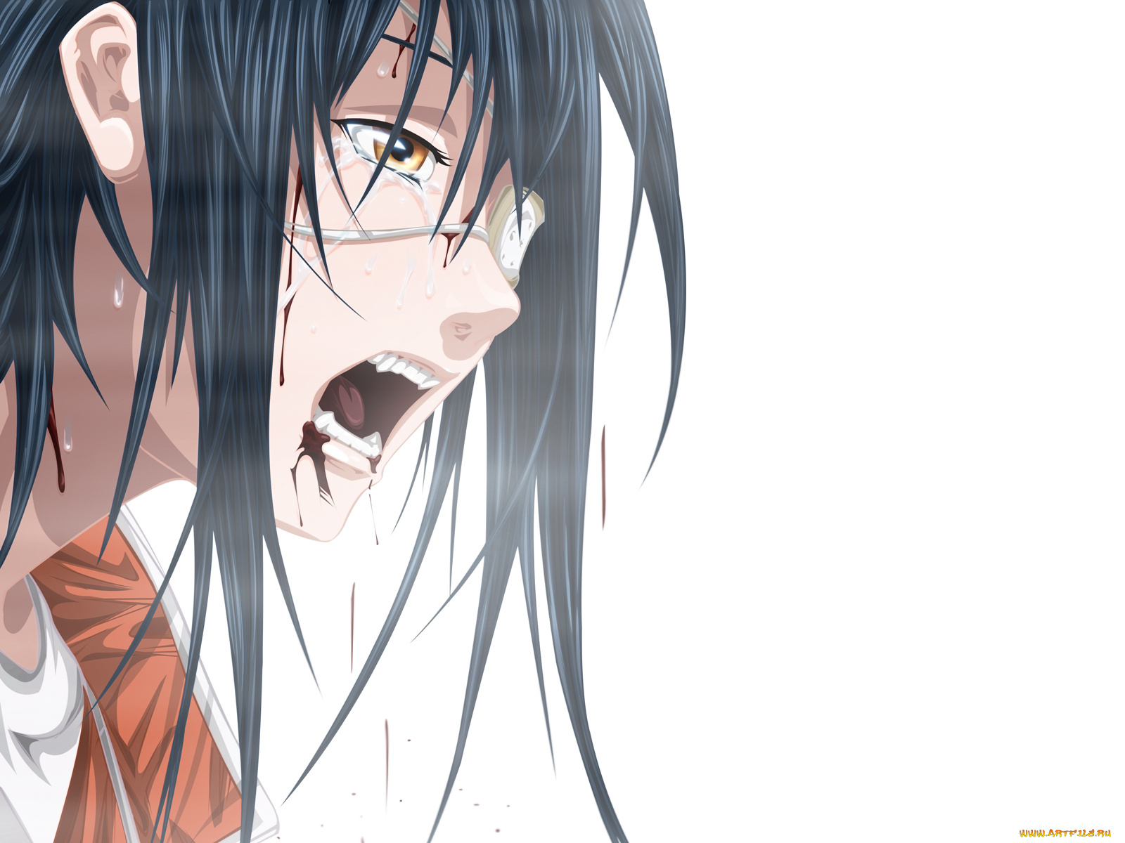 аниме, air, gear, agito