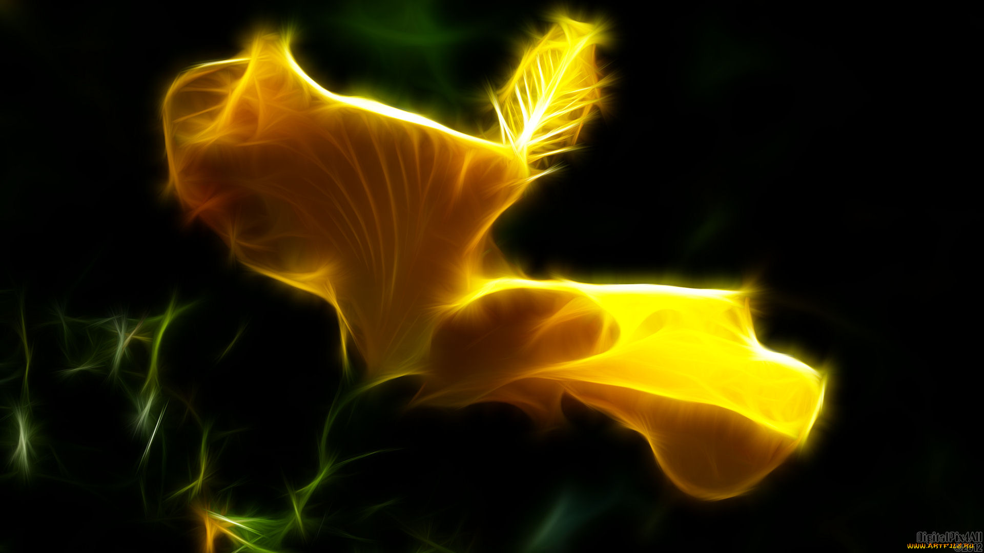 3д, графика, flowers, цветы, цветок, фон