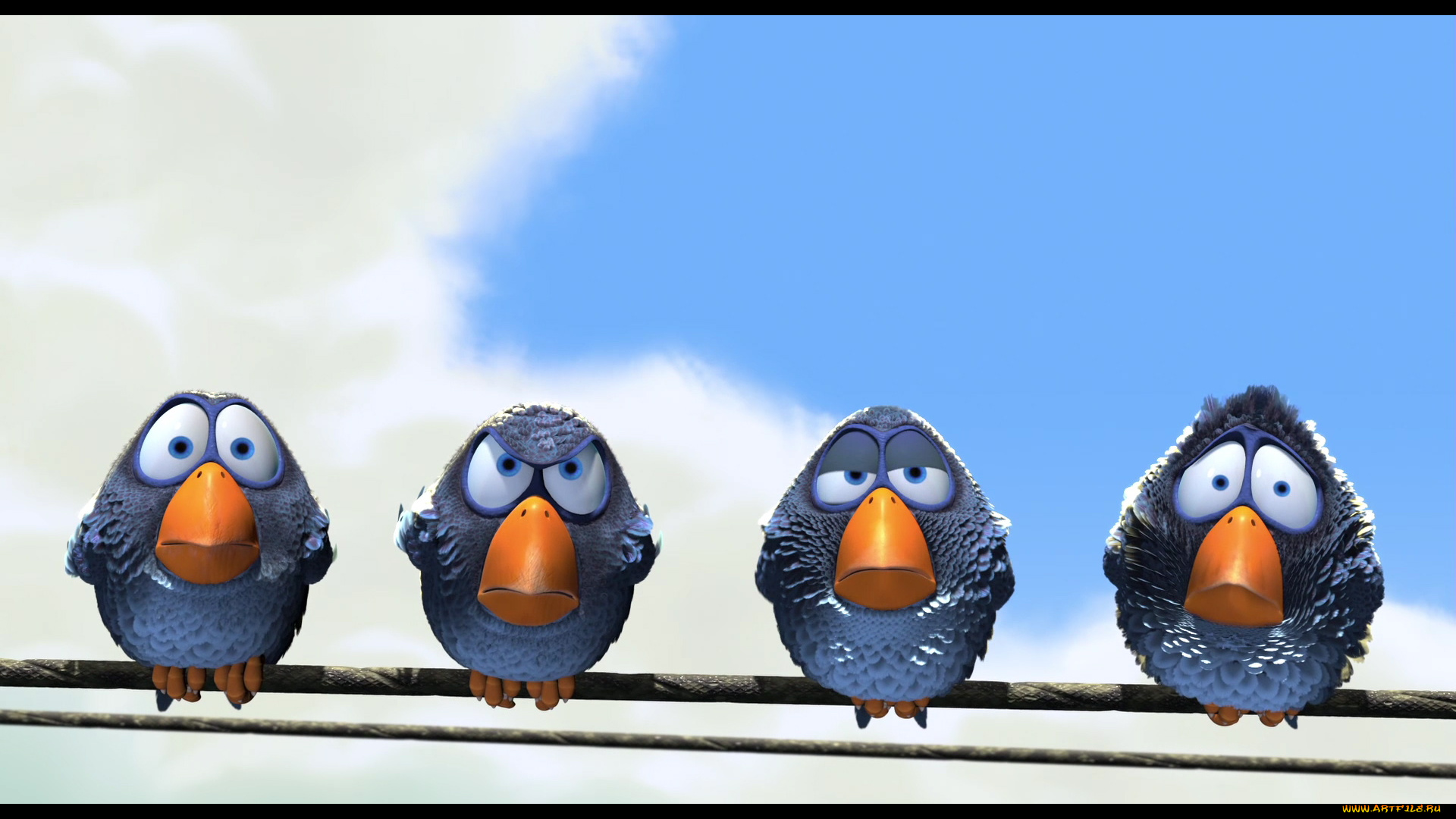 мультфильмы, for, the, birds, птицы, провод