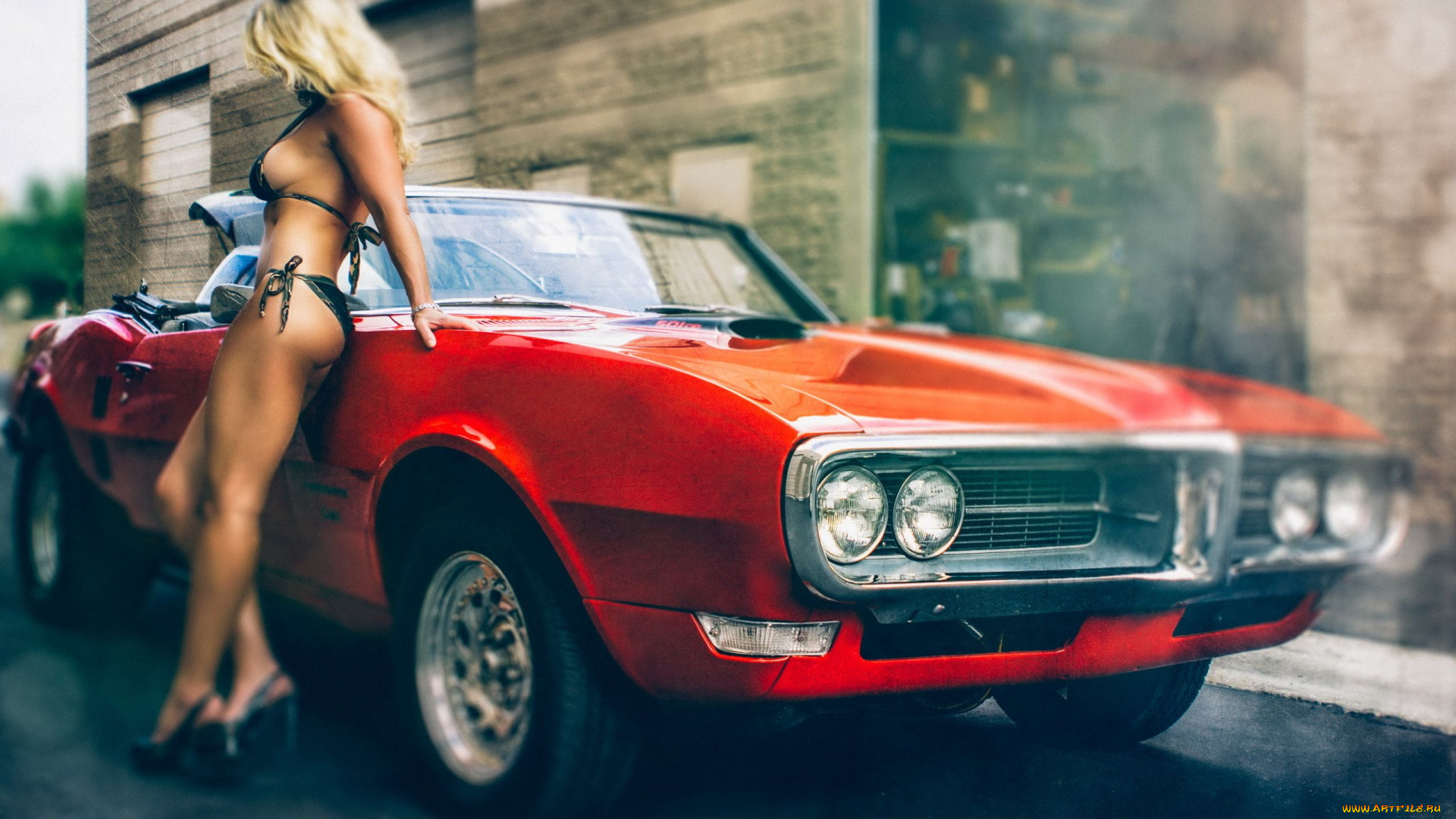 автомобили, авто, девушками, firebird