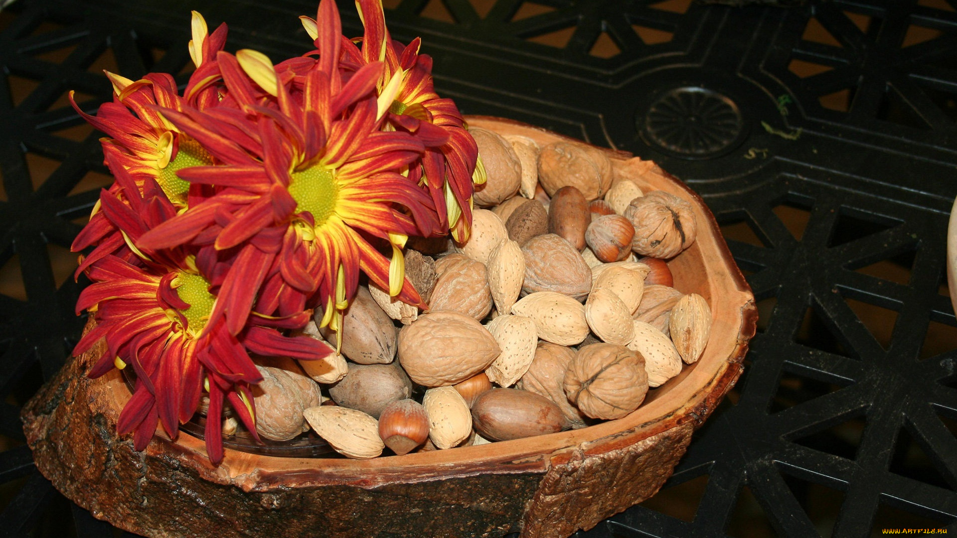 еда, орехи, каштаны, хризантемы