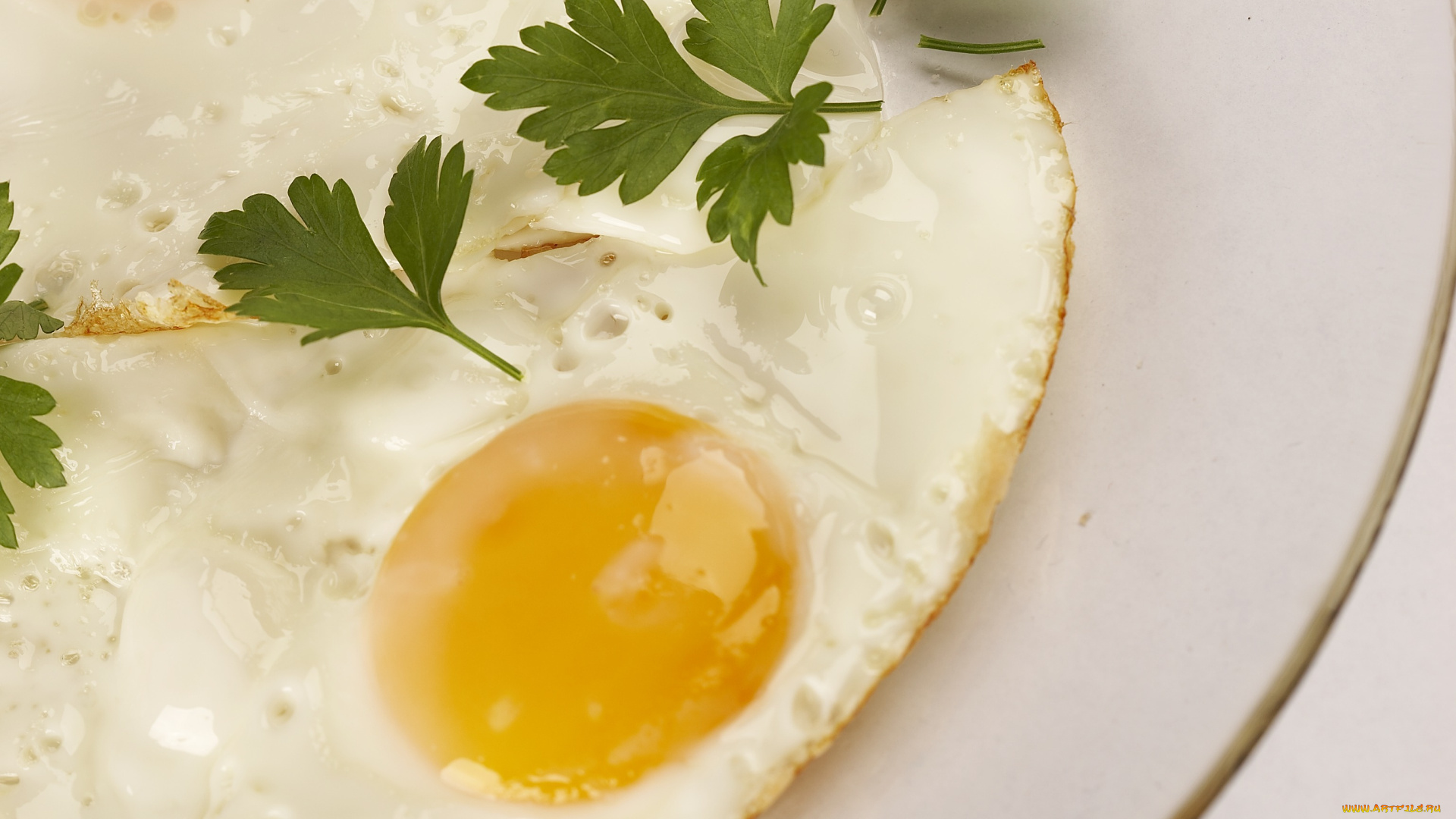 еда, Яичные, блюда, петрушка, глазунья