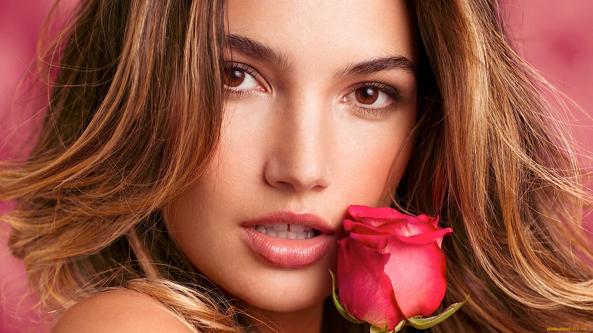 Lily, Aldridge, девушки, , , взгляд, роза