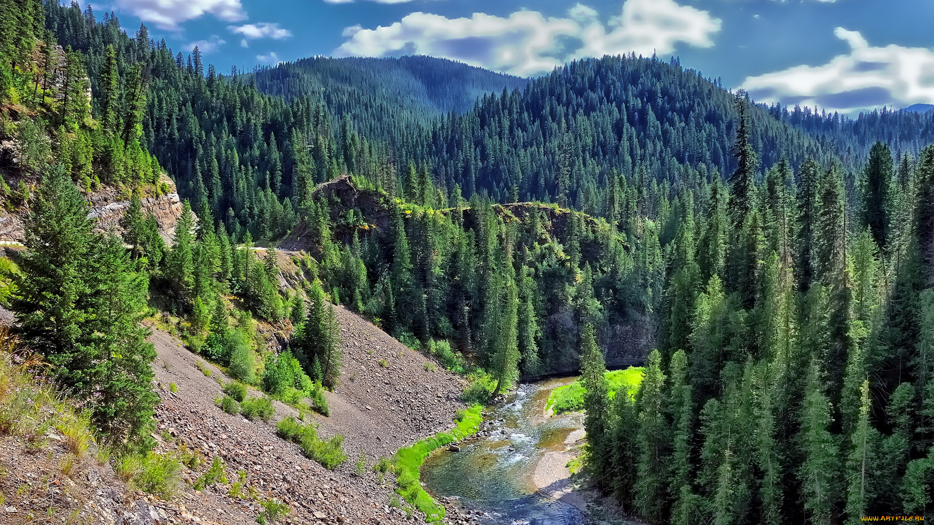 природа, горы, река, холмы, лес, ель, деревья, зелень