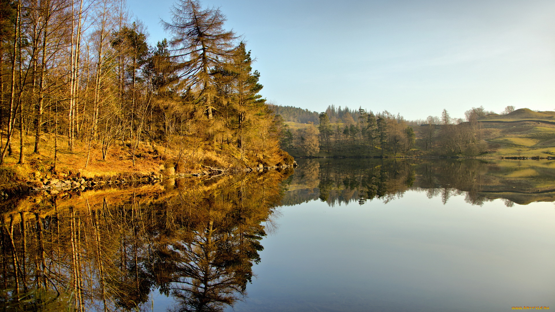 природа, реки, озера, озеро, пейзаж, лес