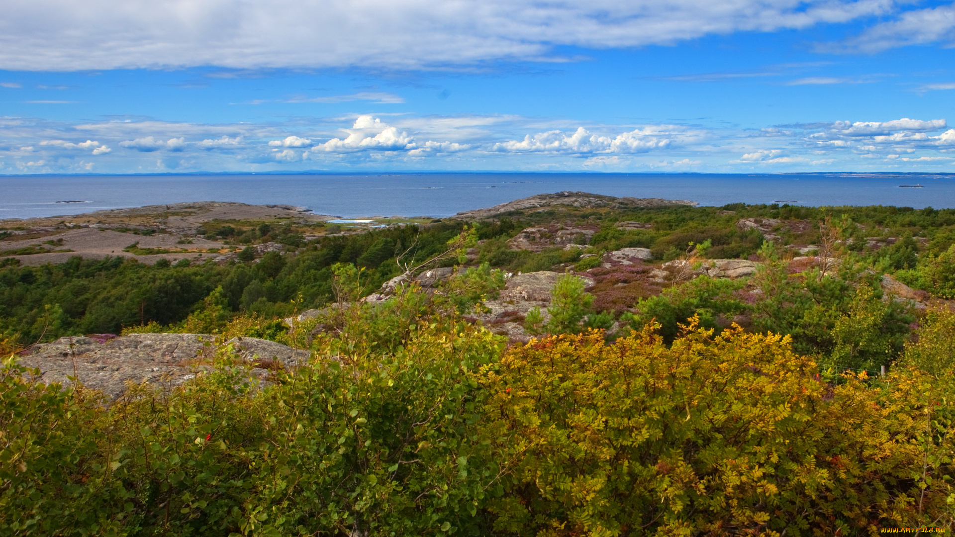швеция, вестра, гёталанд, природа, побережье, пейзаж