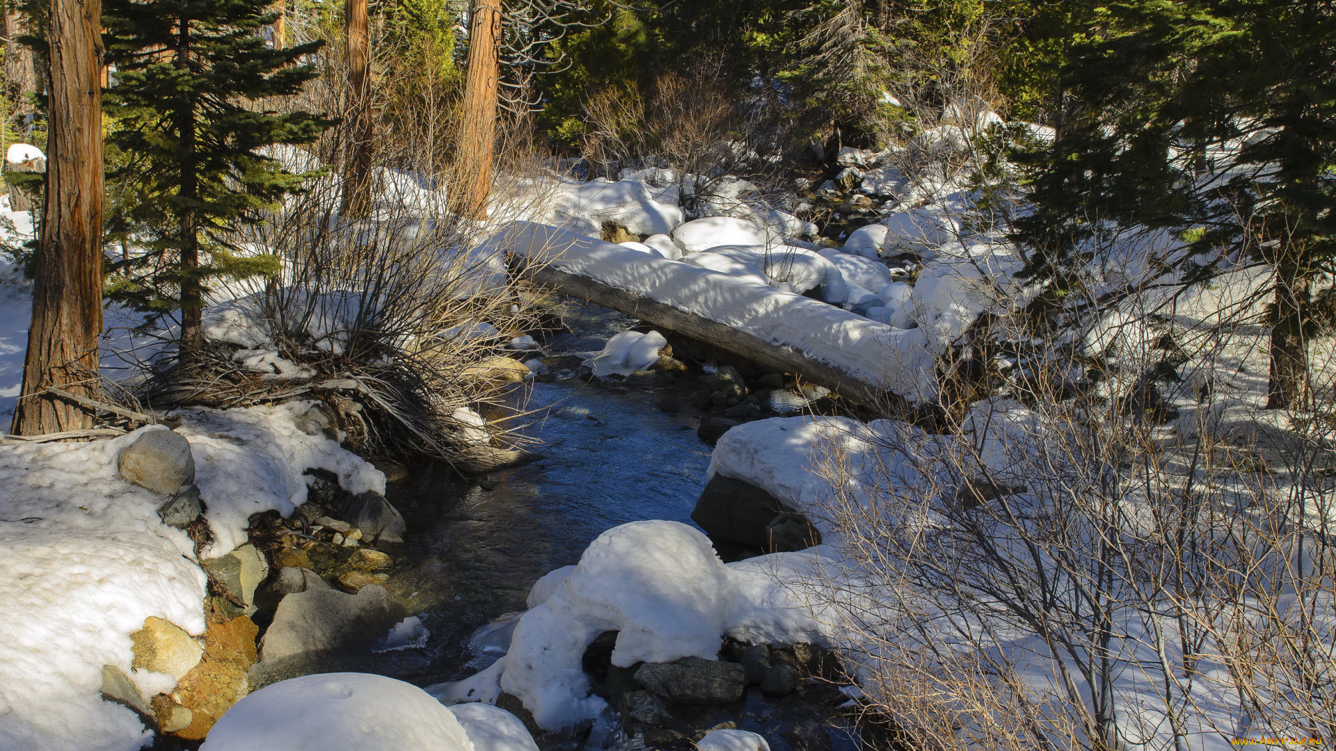 south, lake, tahoe, california, us, природа, зима, парк, река