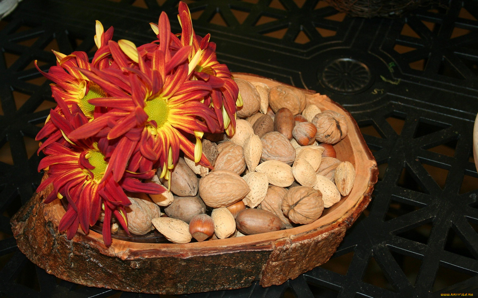 еда, орехи, каштаны, хризантемы