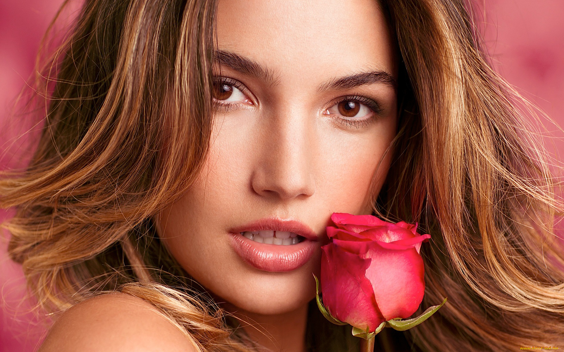 Lily, Aldridge, девушки, , , взгляд, роза