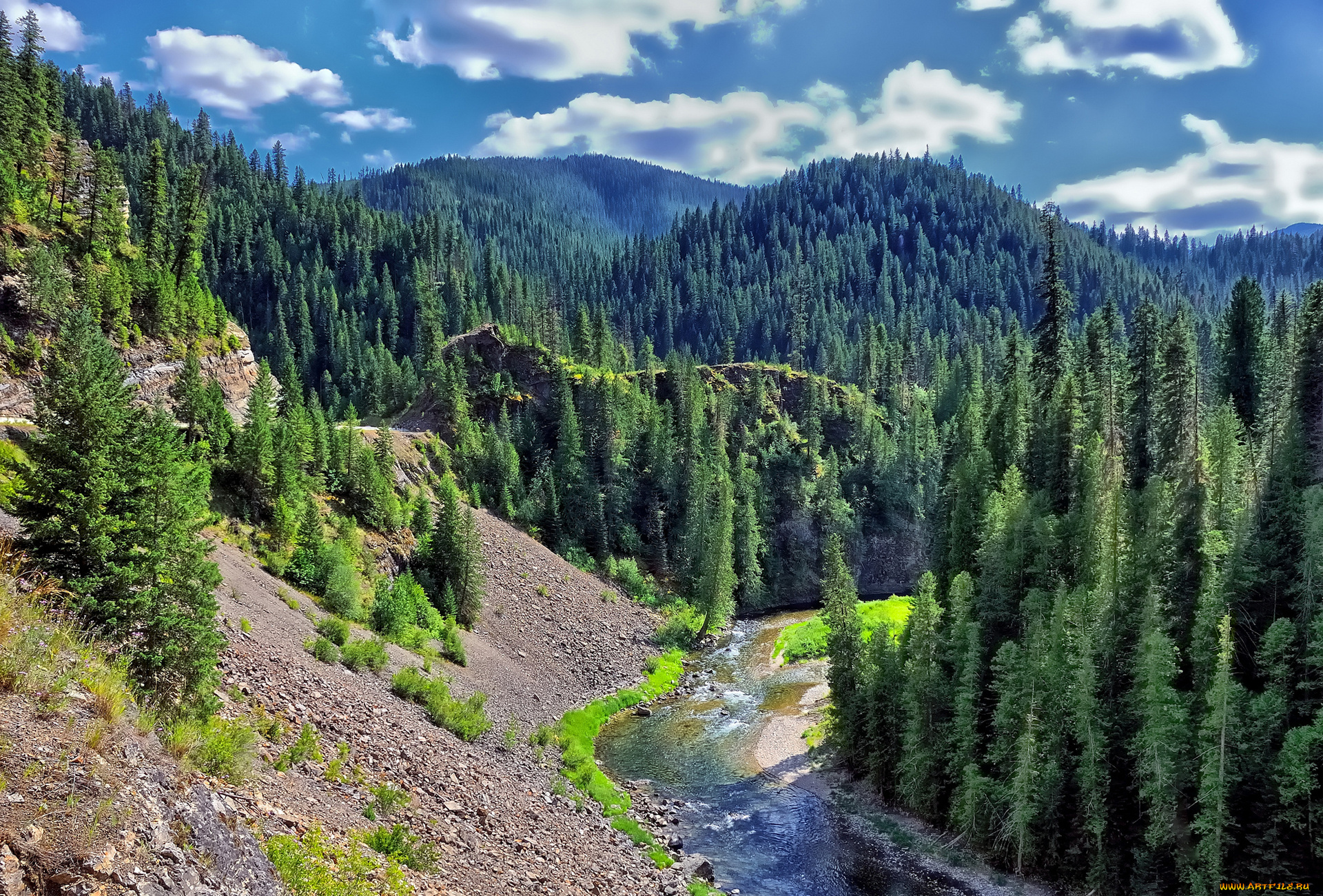 природа, горы, река, холмы, лес, ель, деревья, зелень
