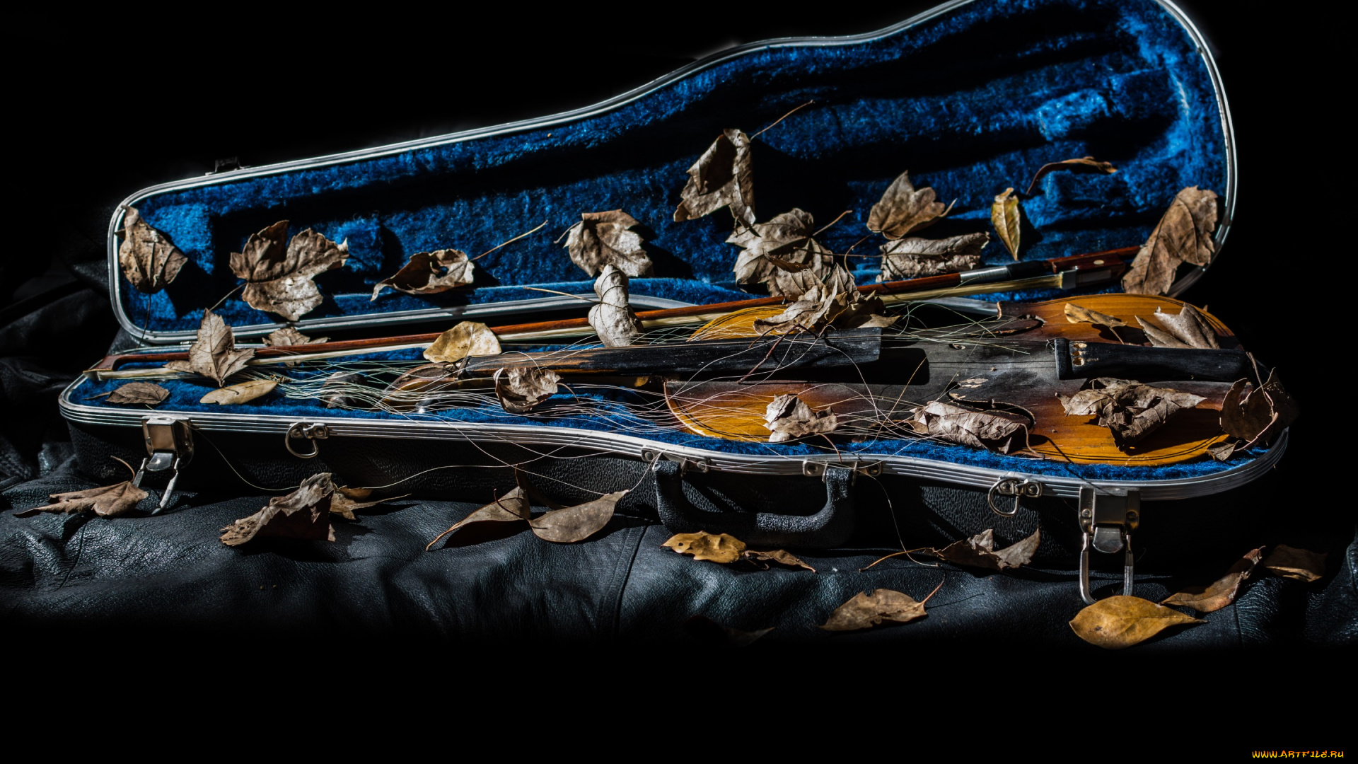 музыка, -музыкальные, инструменты, футляр, скрипка, листья