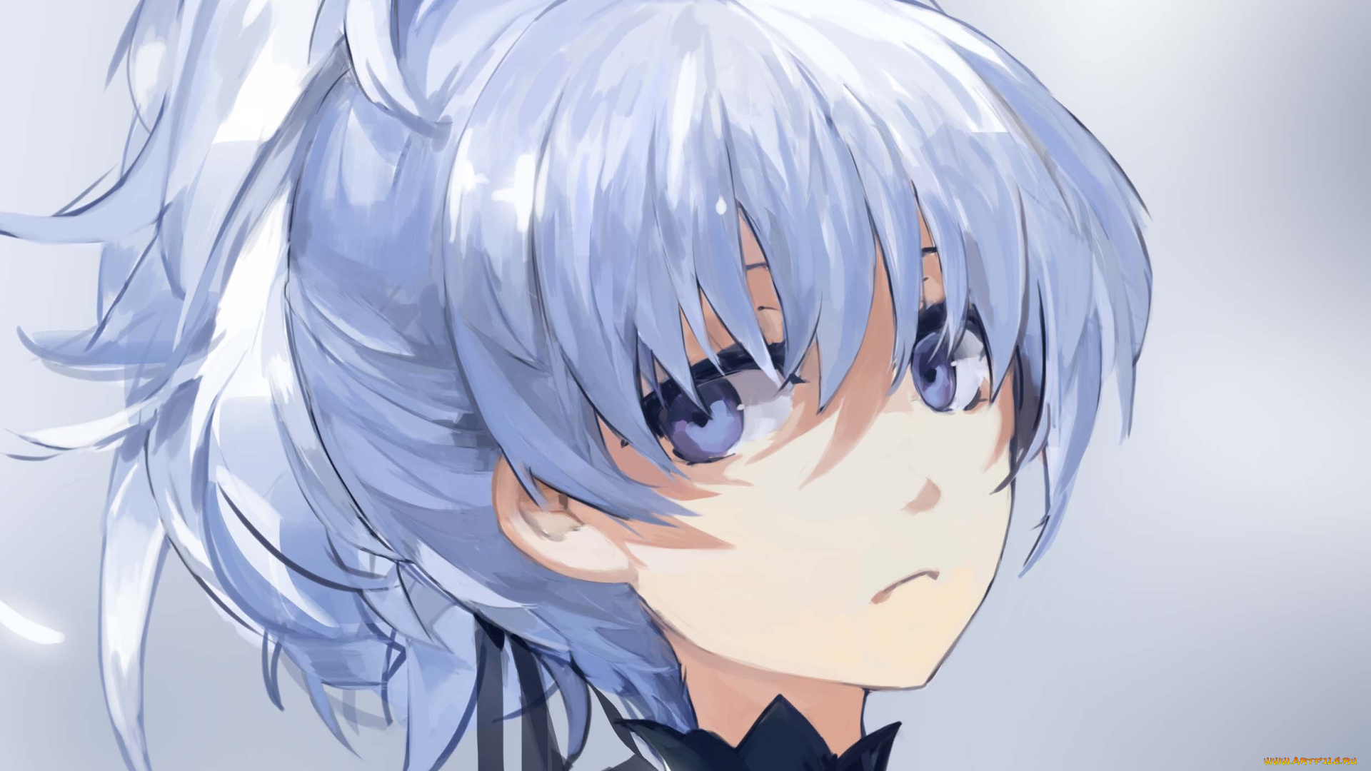 аниме, darker, than, black, инь