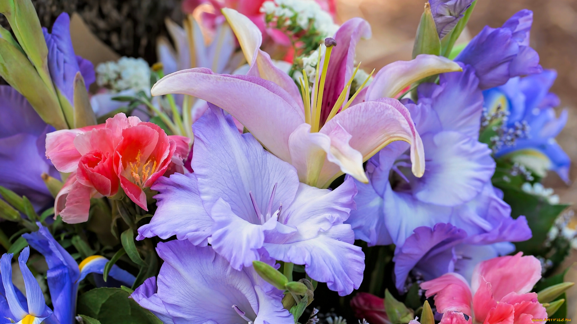 цветы, букеты, , композиции, гладиолусы, лилия, ирис, букет