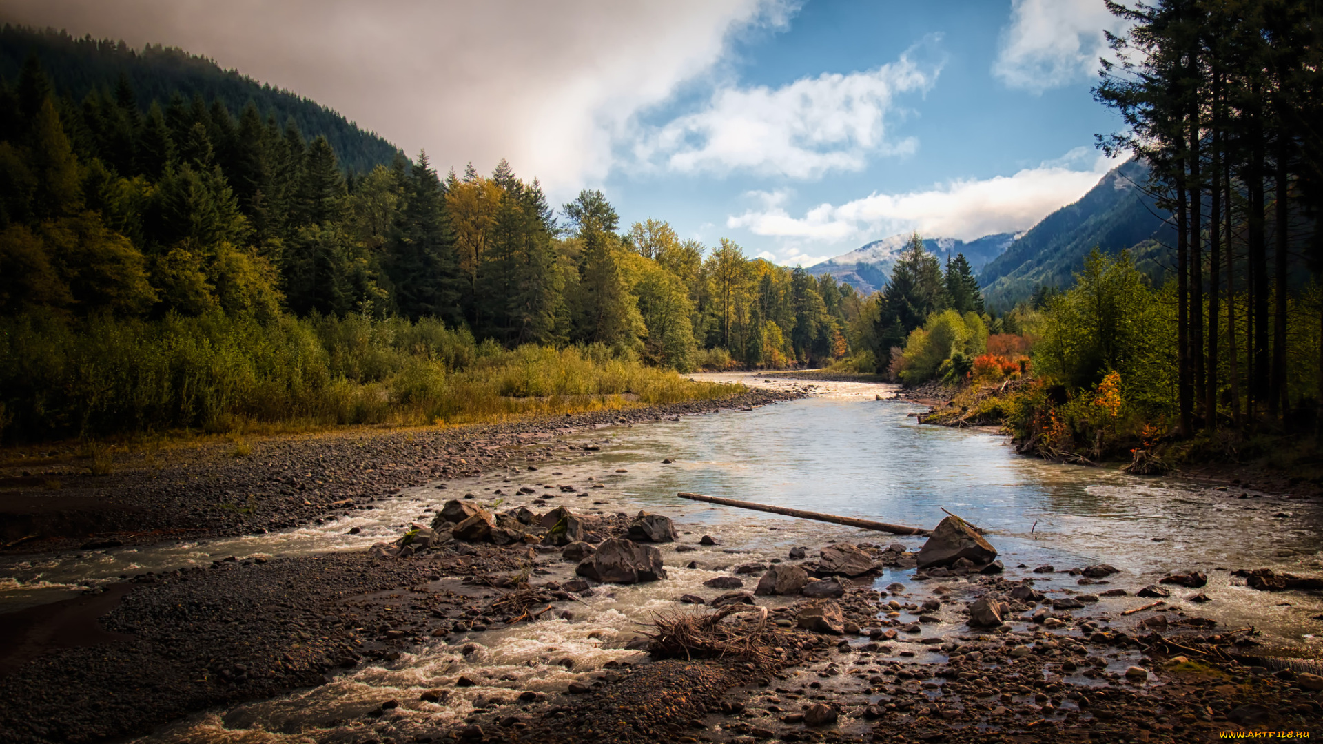 природа, реки, озера, лес, река