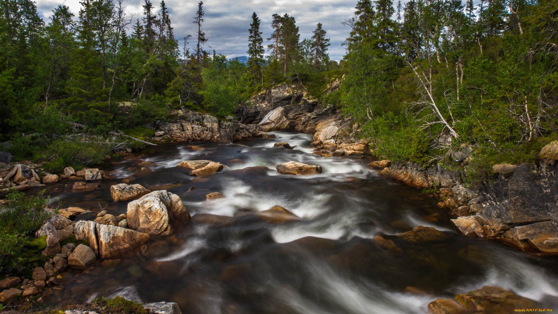 природа, реки, озера, река, лес