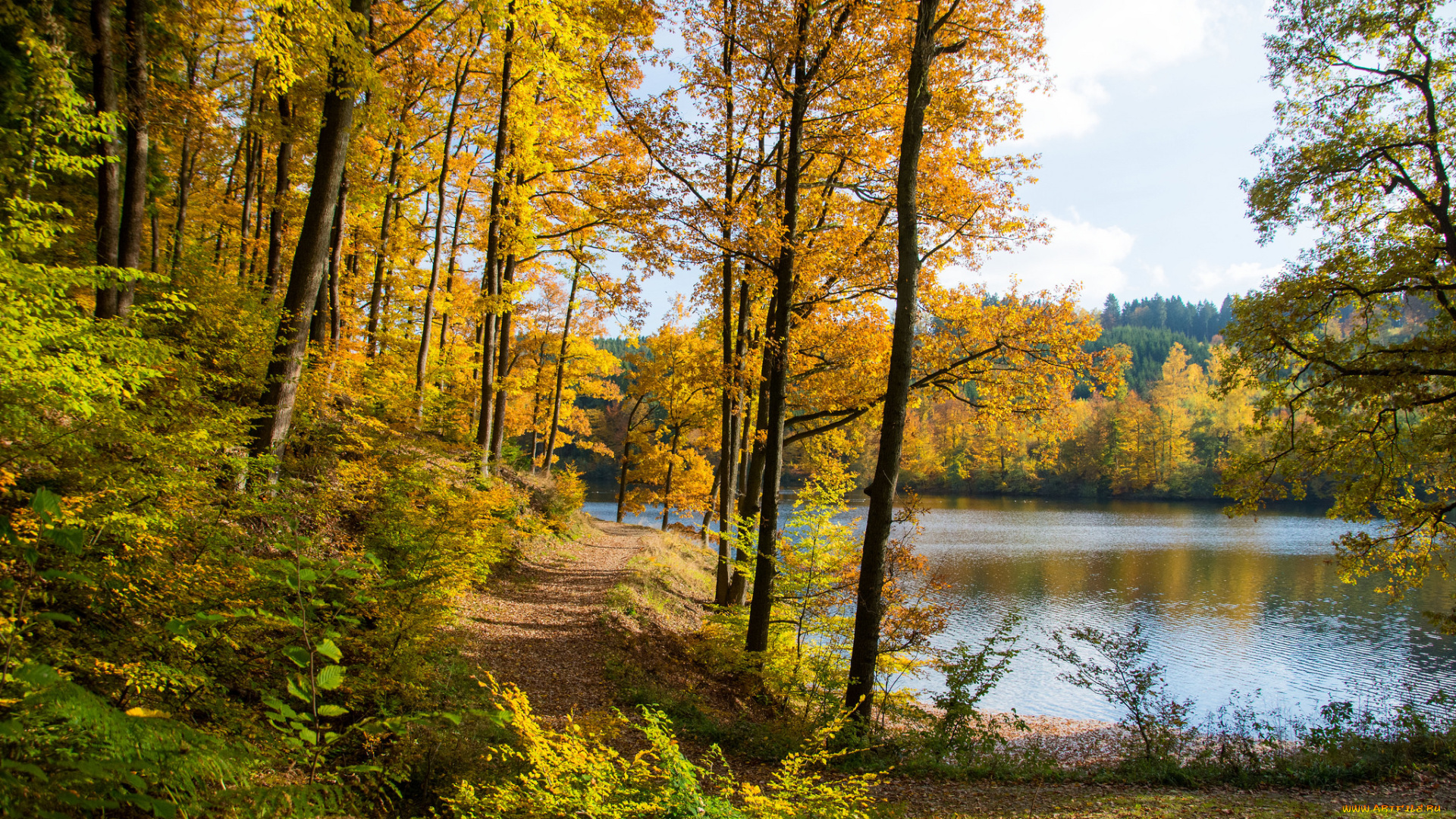 природа, реки, озера, река, лес