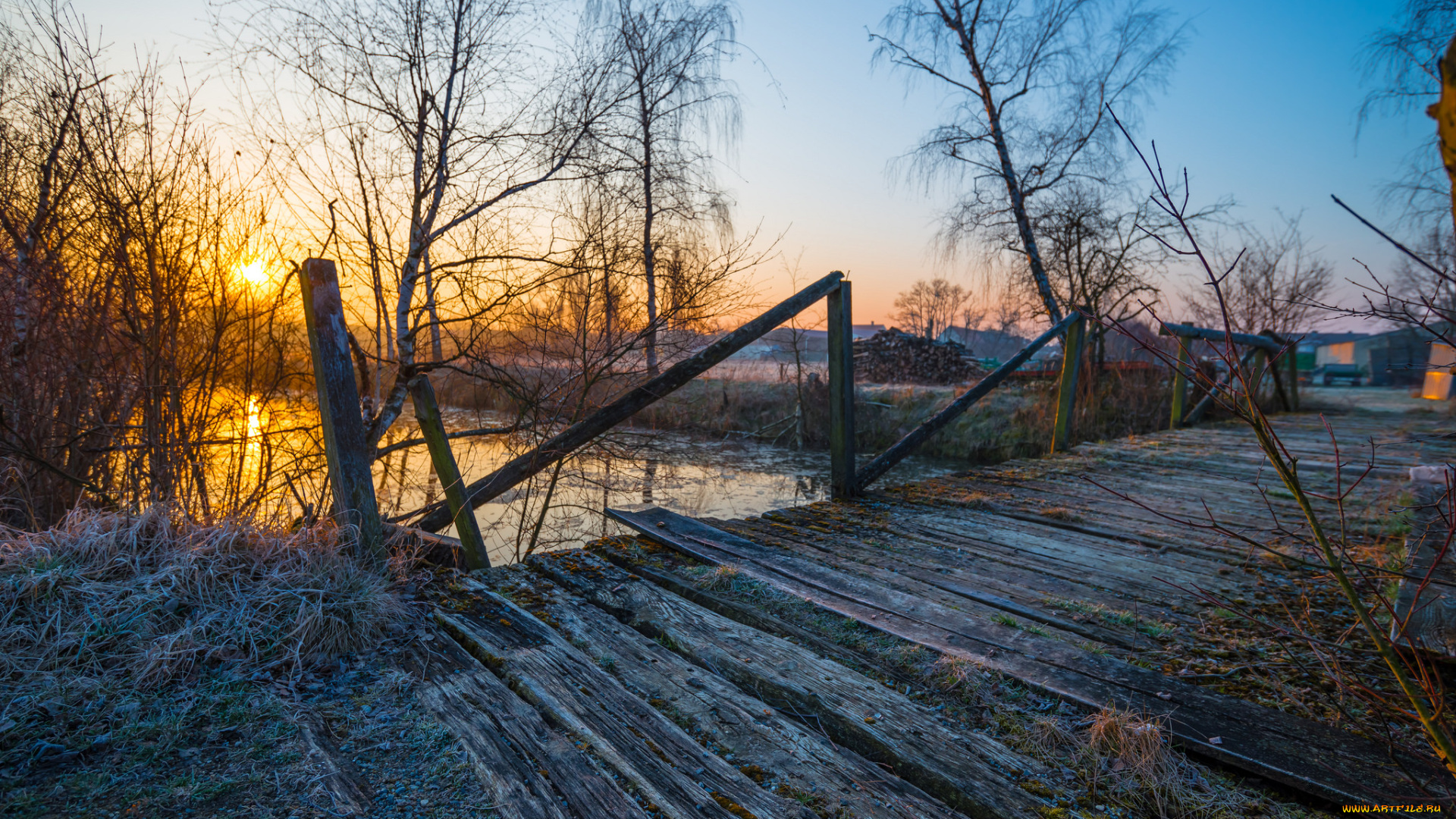 природа, реки, озера, река, лес