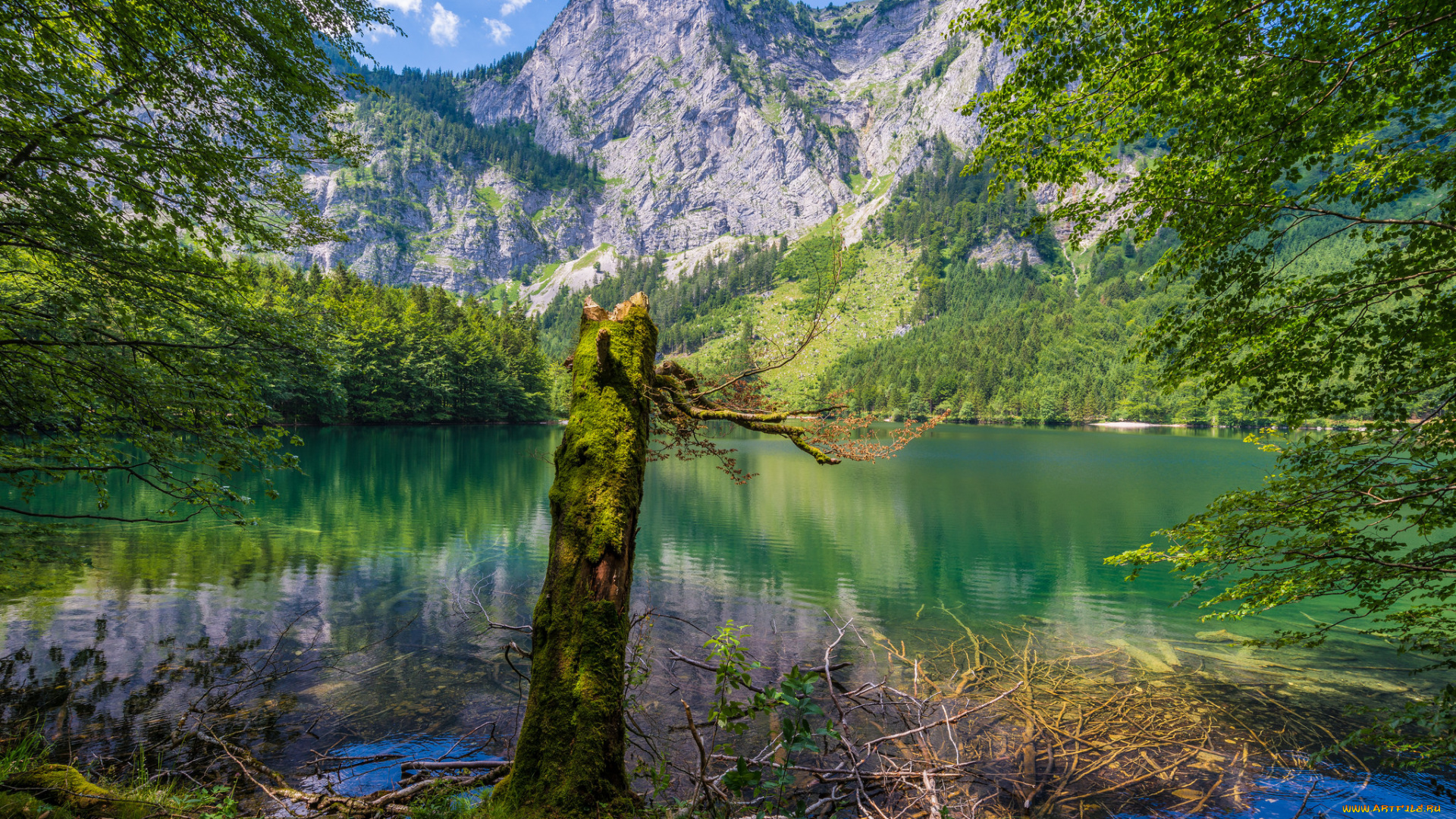 природа, реки, озера, река, лес