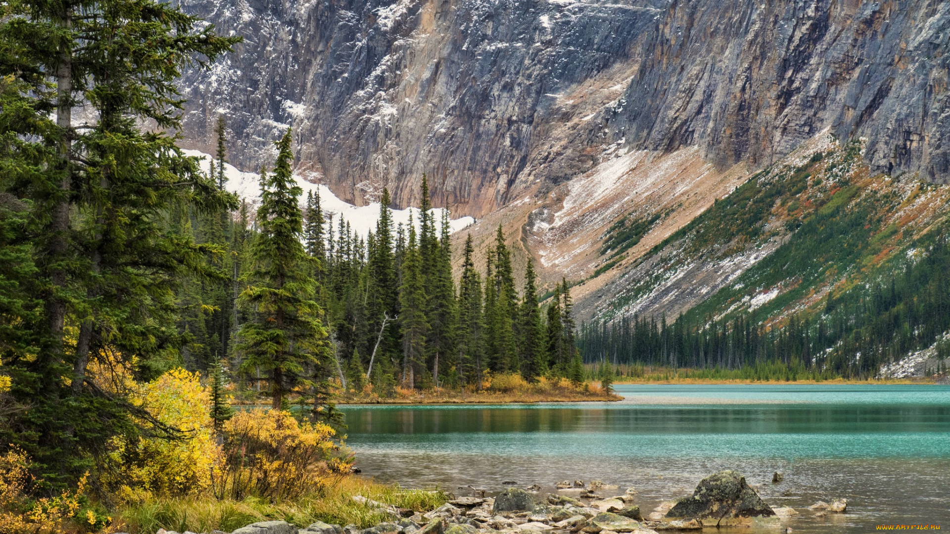 природа, реки, озера, река, лес