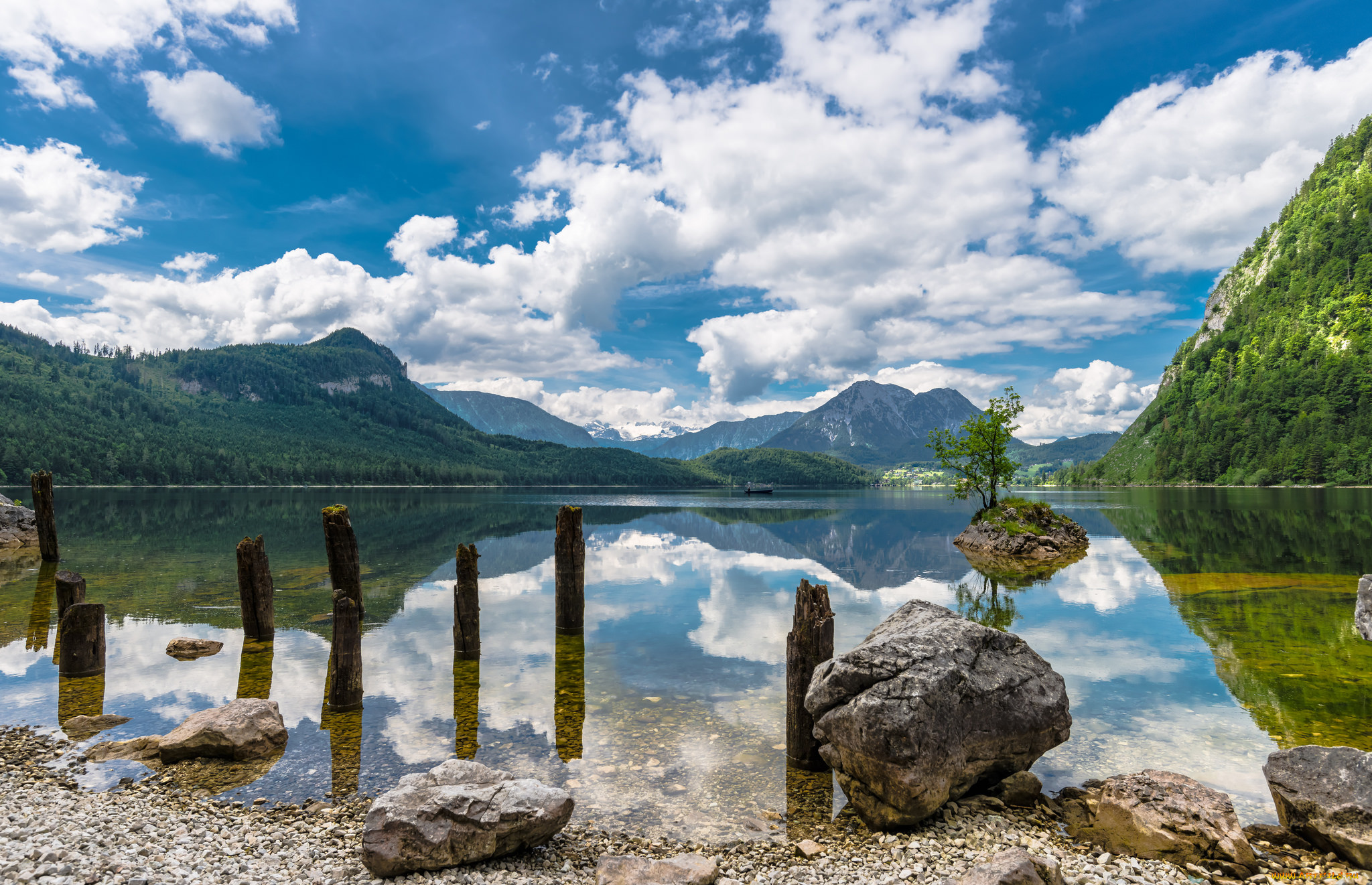 природа, реки, озера, река, лес