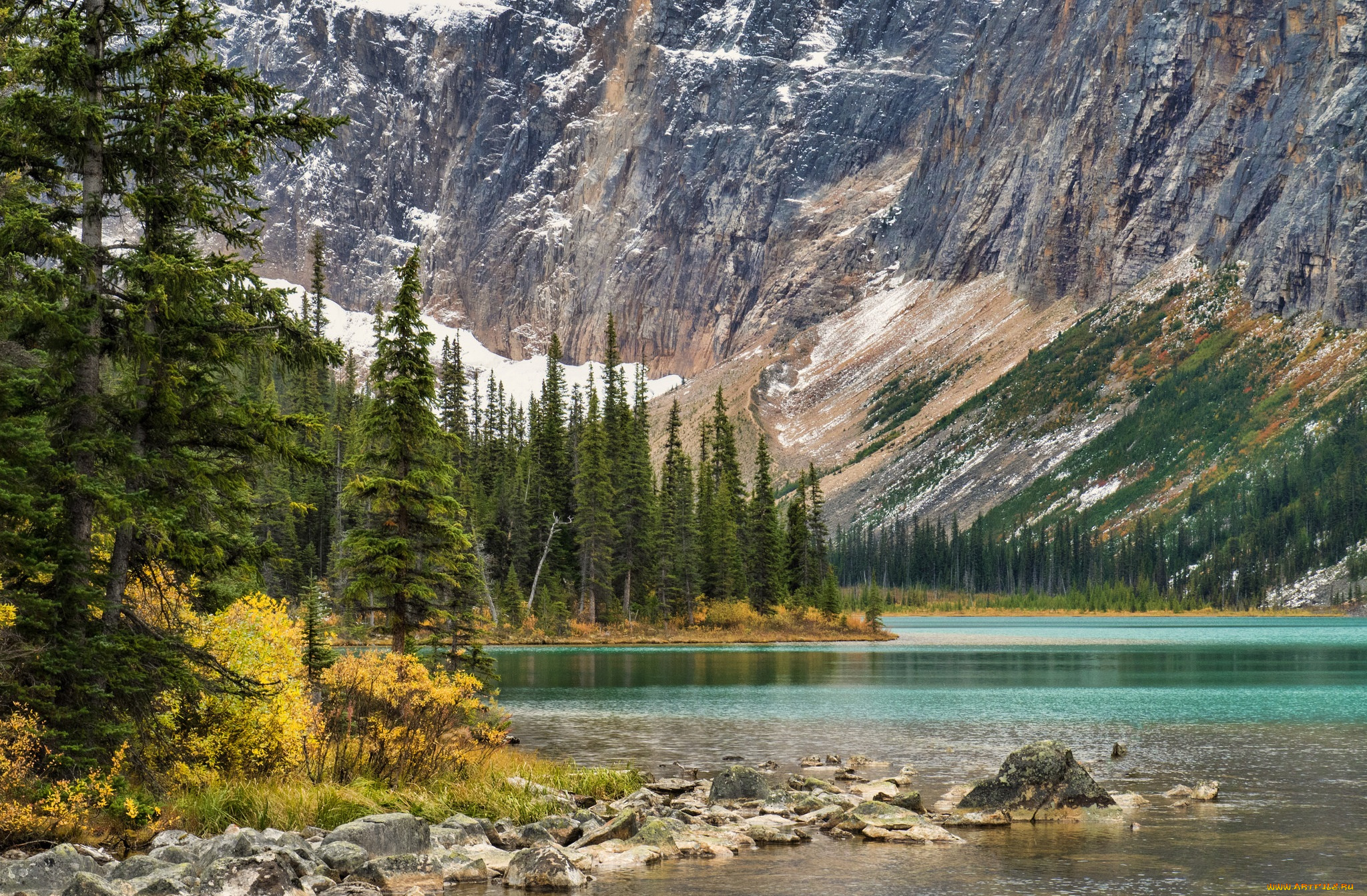 природа, реки, озера, река, лес