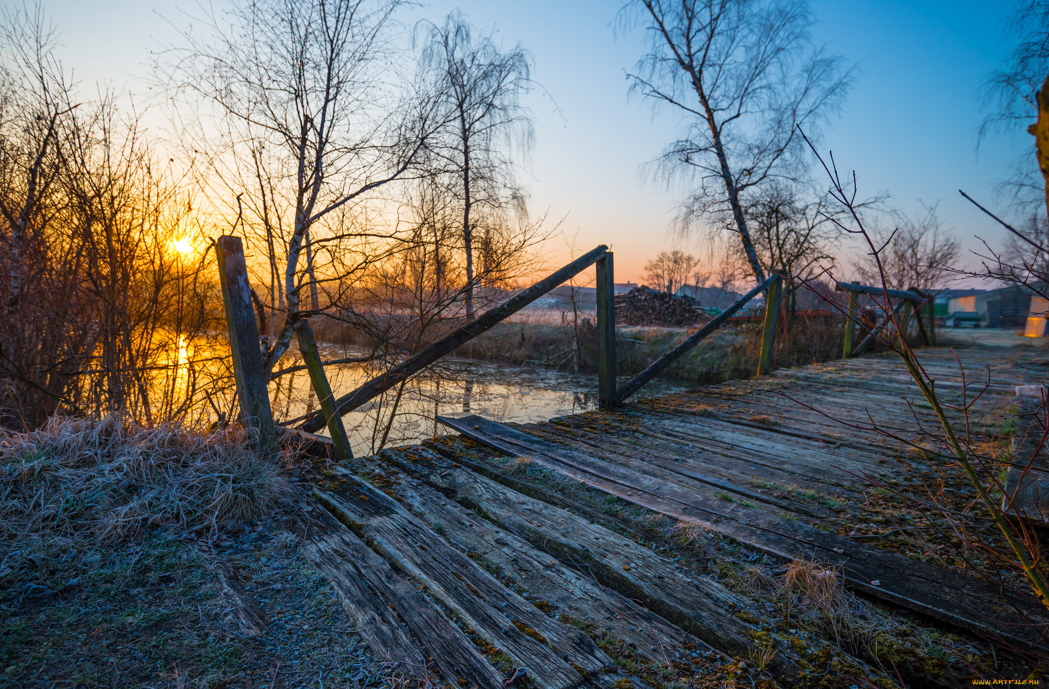 природа, реки, озера, река, лес