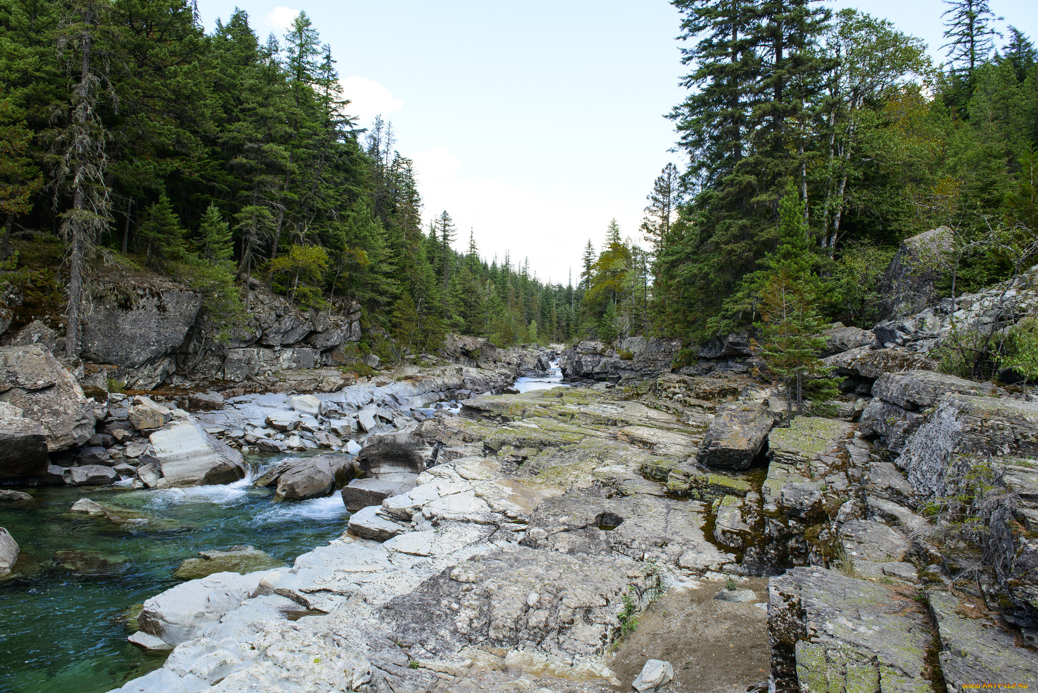 природа, реки, озера, река, лес