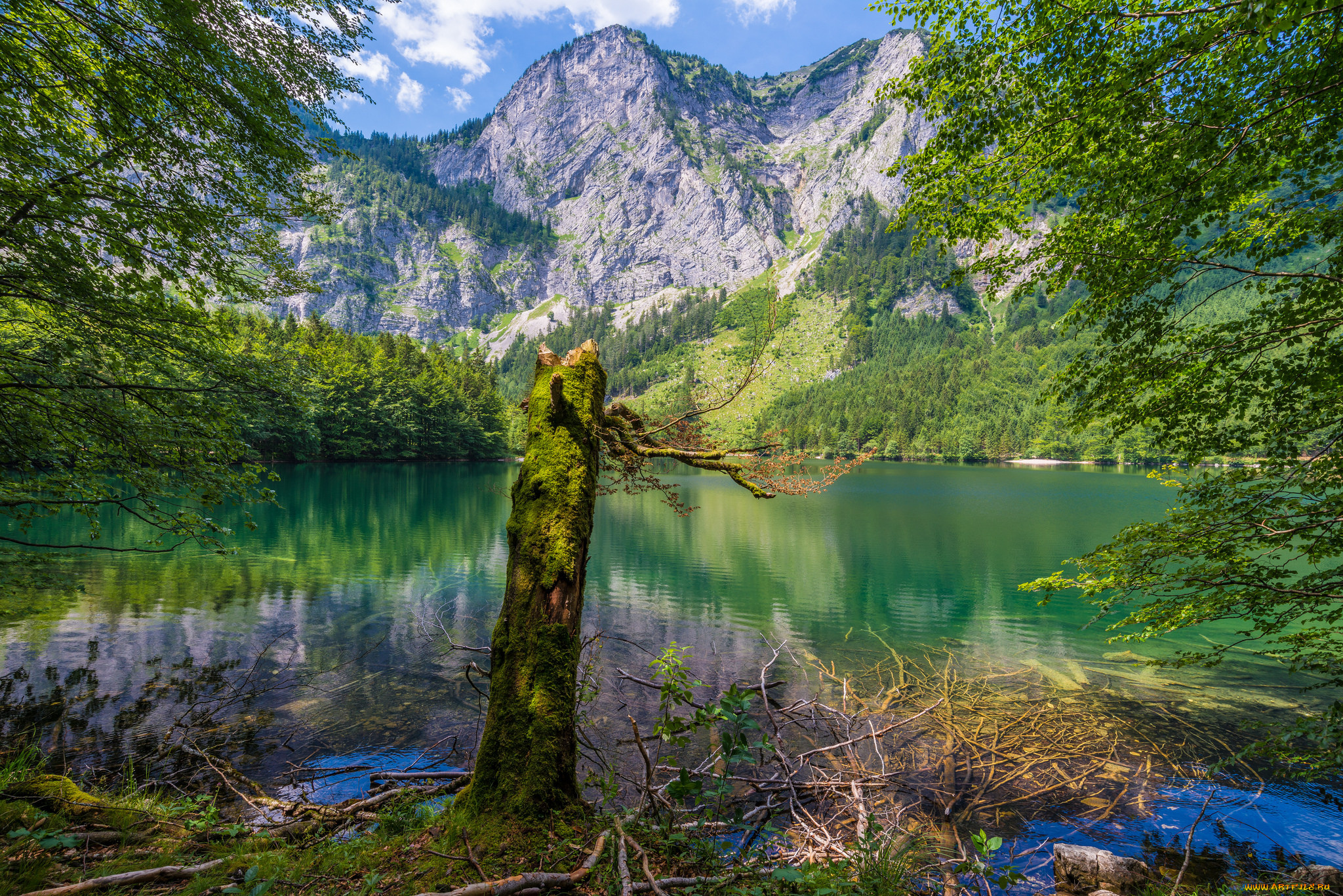 природа, реки, озера, река, лес