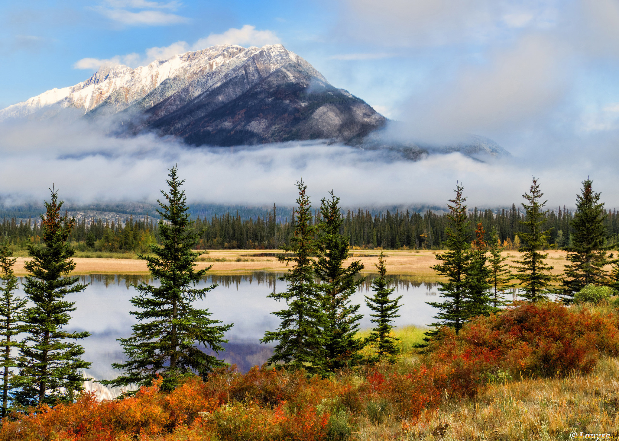 природа, реки, озера, река, лес