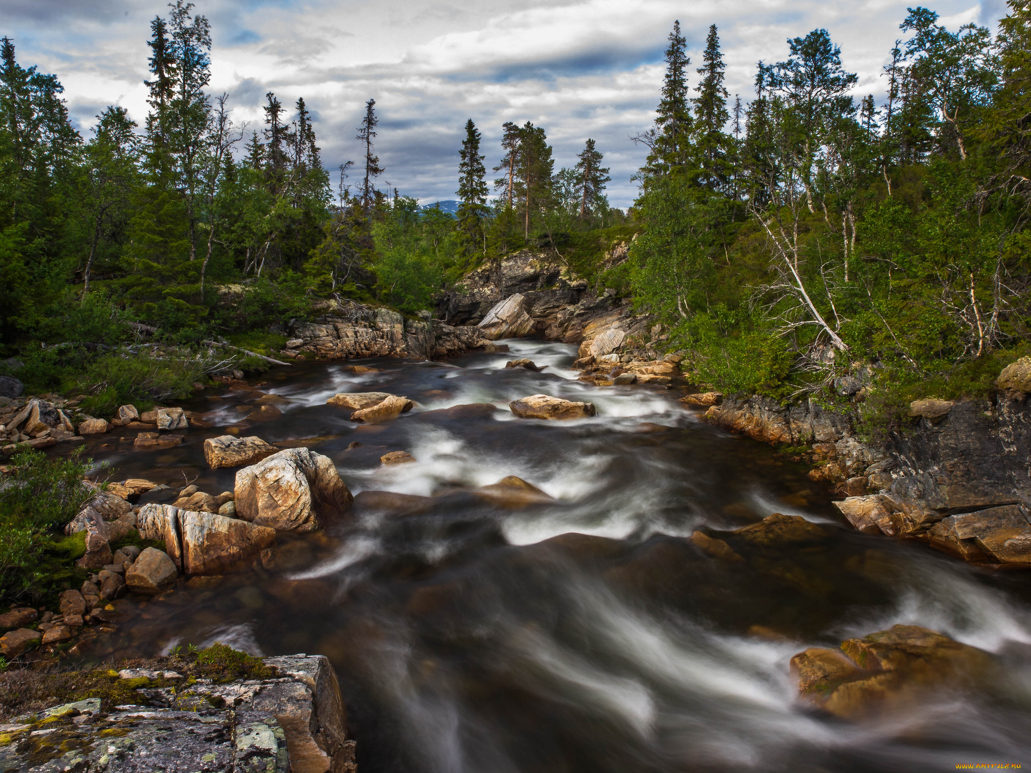 природа, реки, озера, река, лес