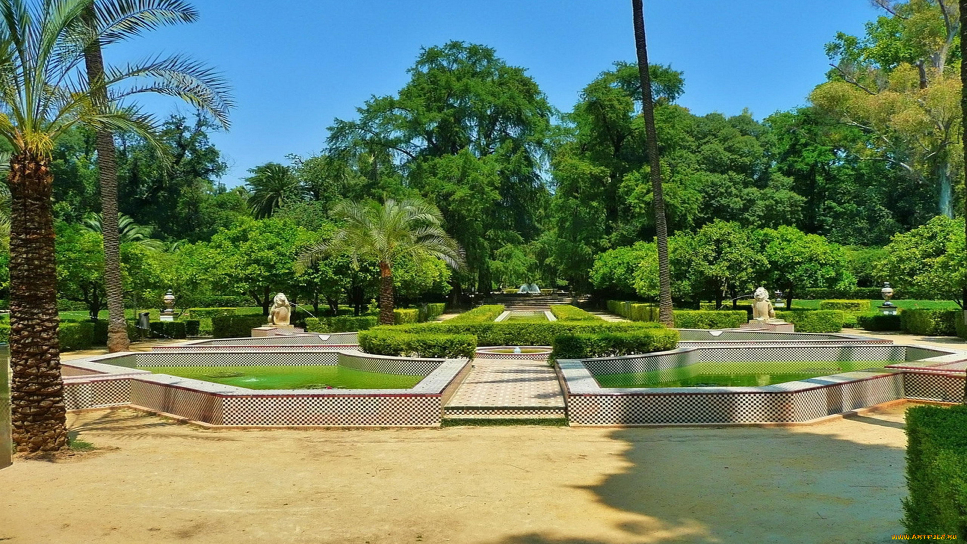 природа, парк, пальмы, аллеи, фонтаны