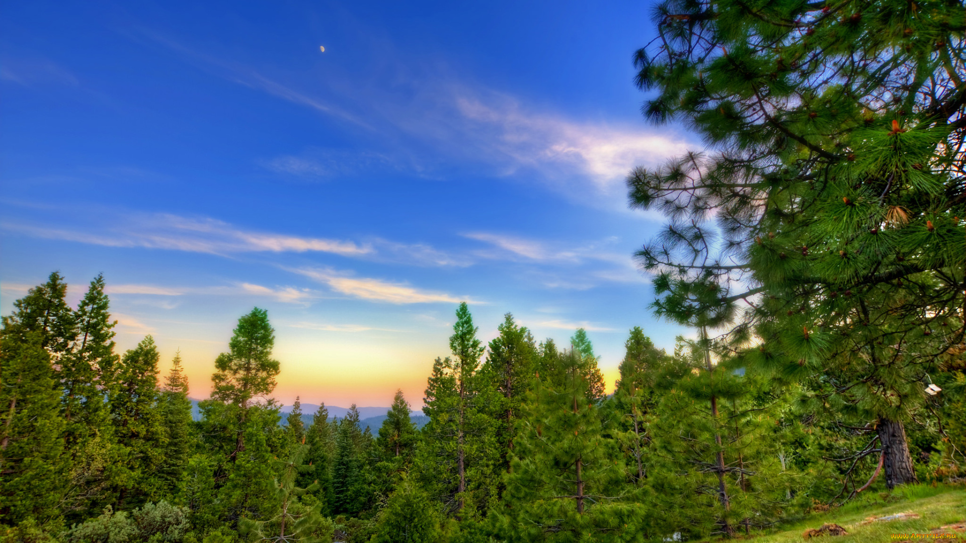 природа, пейзажи, простор