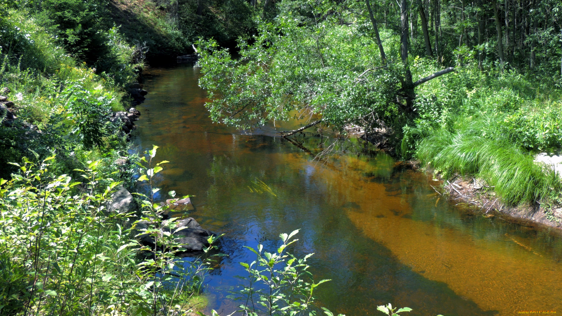 природа, реки, озера, деревья, камни, вода