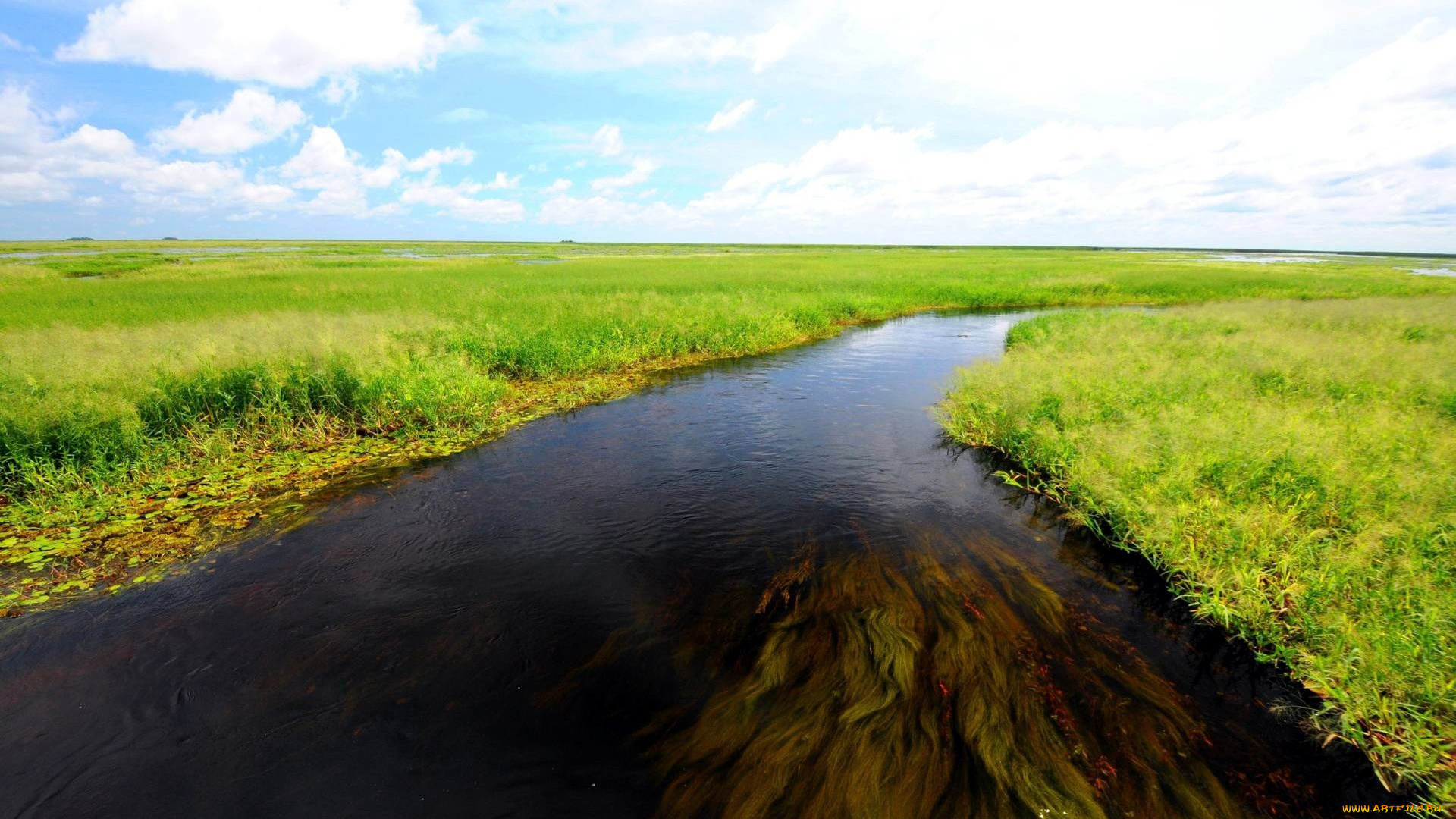 природа, реки, озера, луга, трава, река, вода