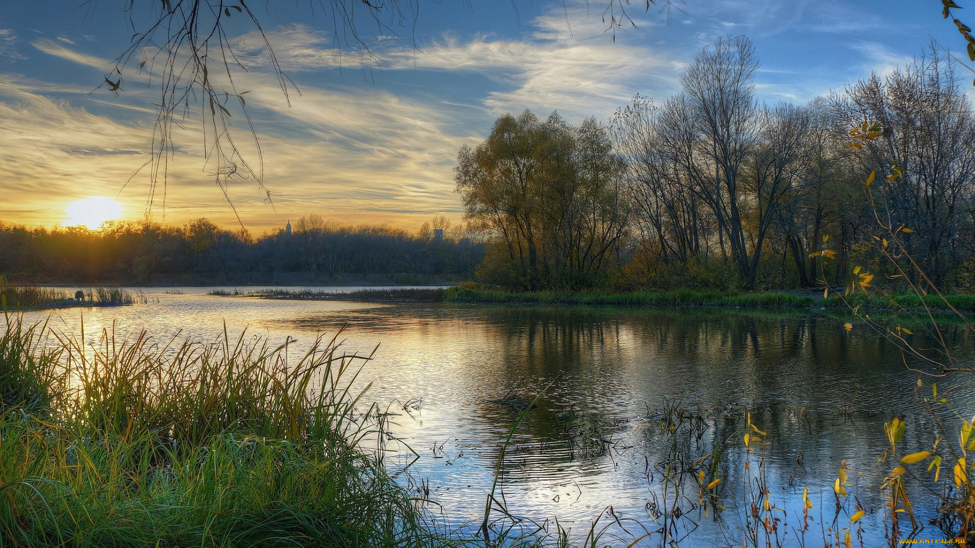 природа, реки, озера, река, лес