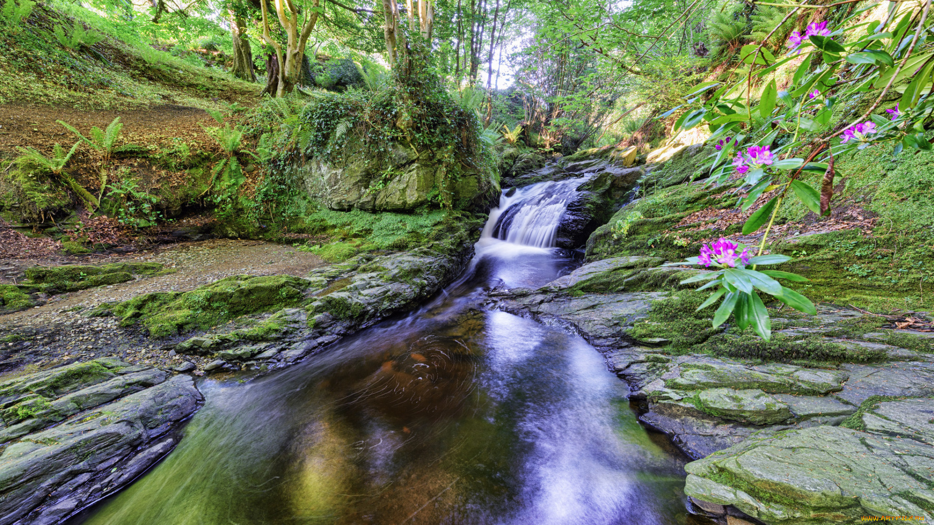 природа, водопады, водопад, река, лес
