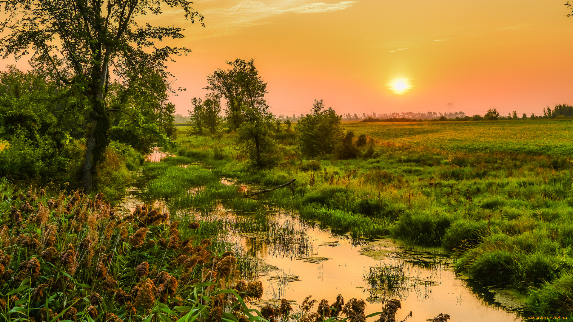 природа, восходы, закаты, рассвет