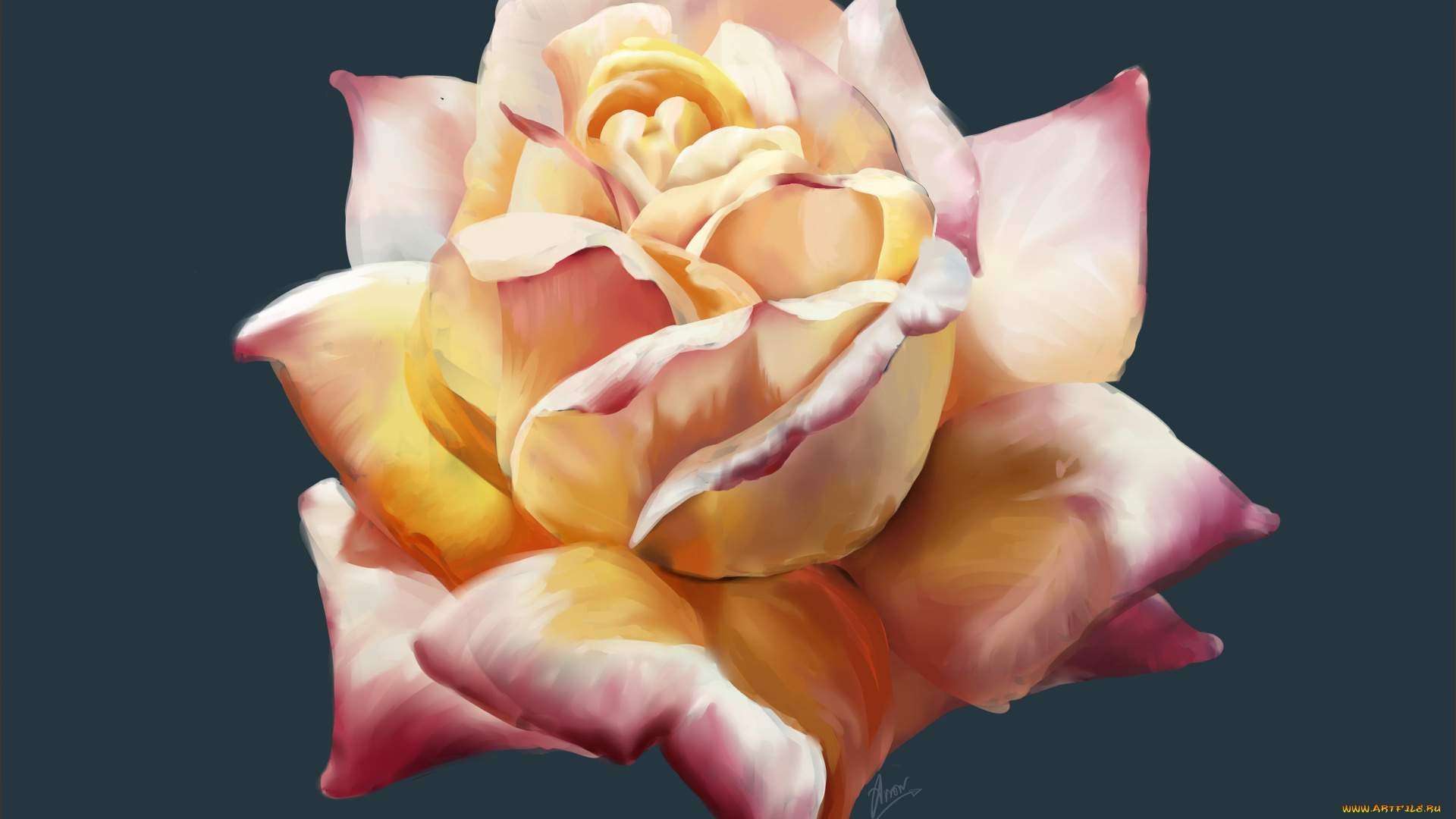 рисованное, цветы, цветок, роза