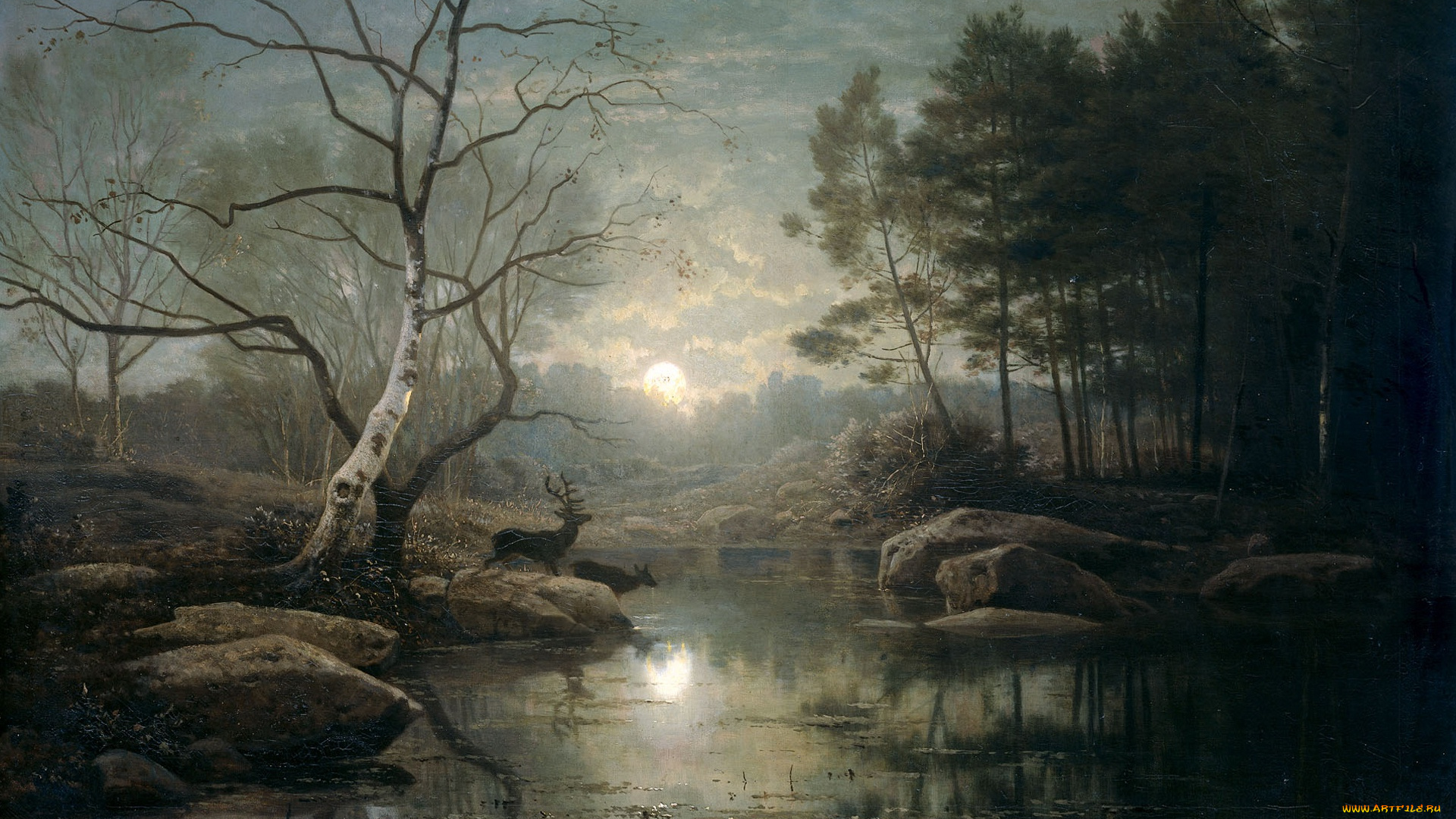 рисованное, живопись, холст, картина, животные, масло