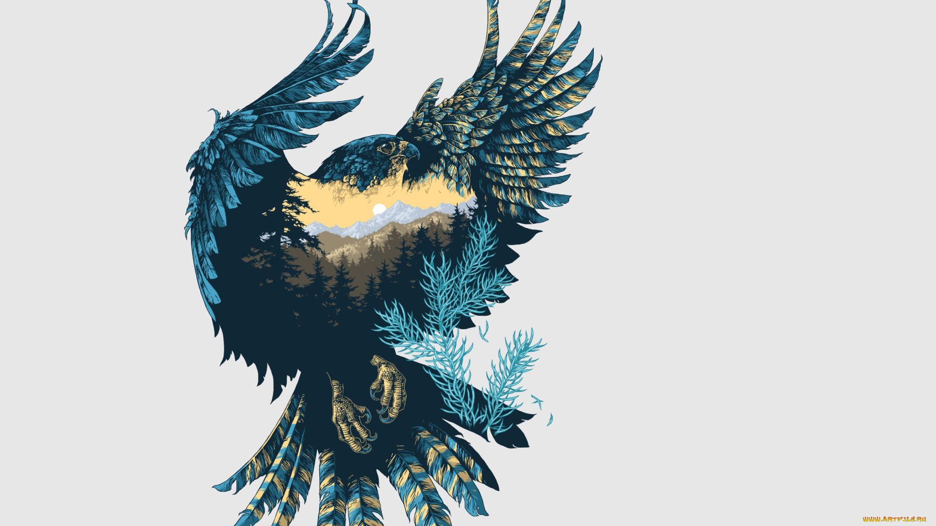 рисованное, животные, , птицы, , орлы, сокол, природа, птица, крылья, фон, арт