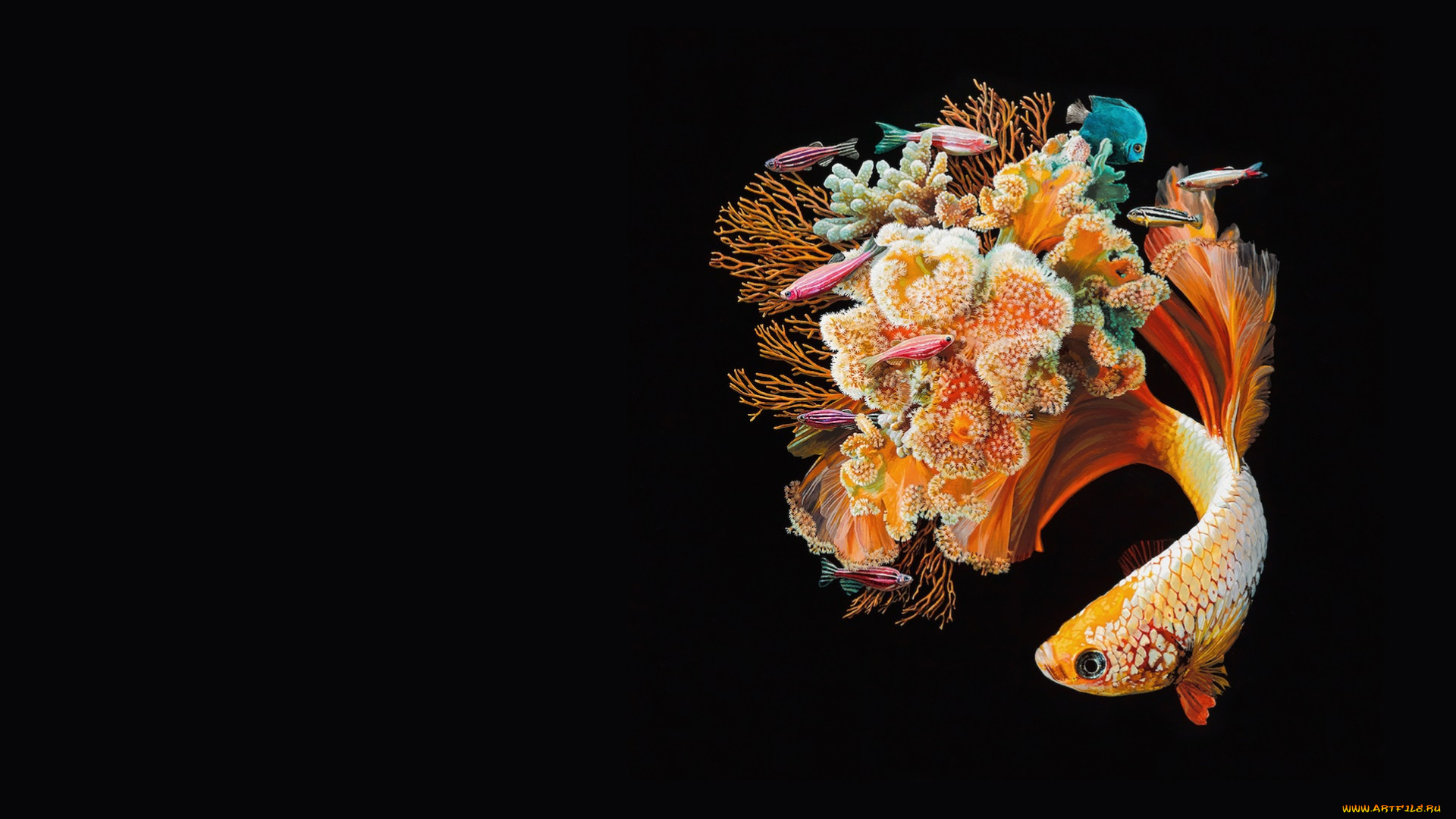 рисованное, животные, , рыбы, рыбка