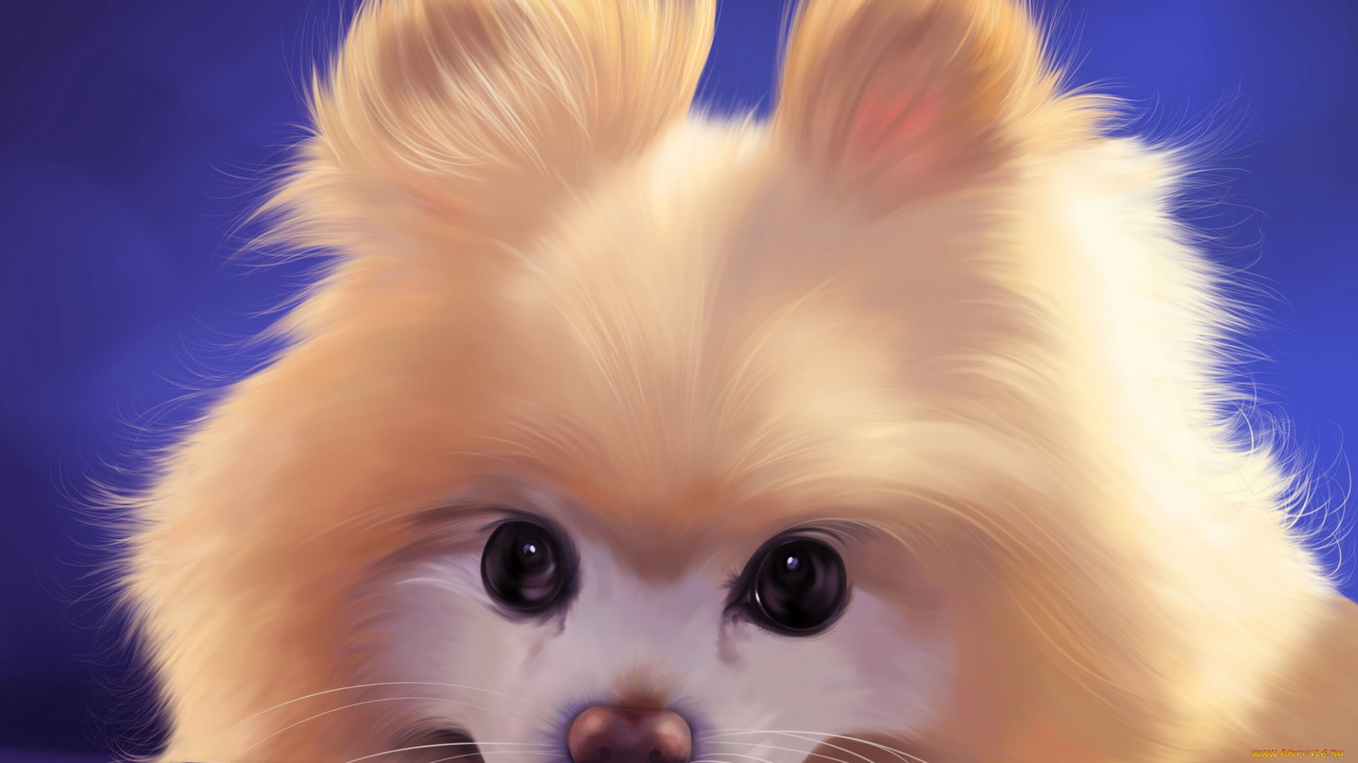 рисованное, животные, , собаки, собака, шпиц, by, khushiart