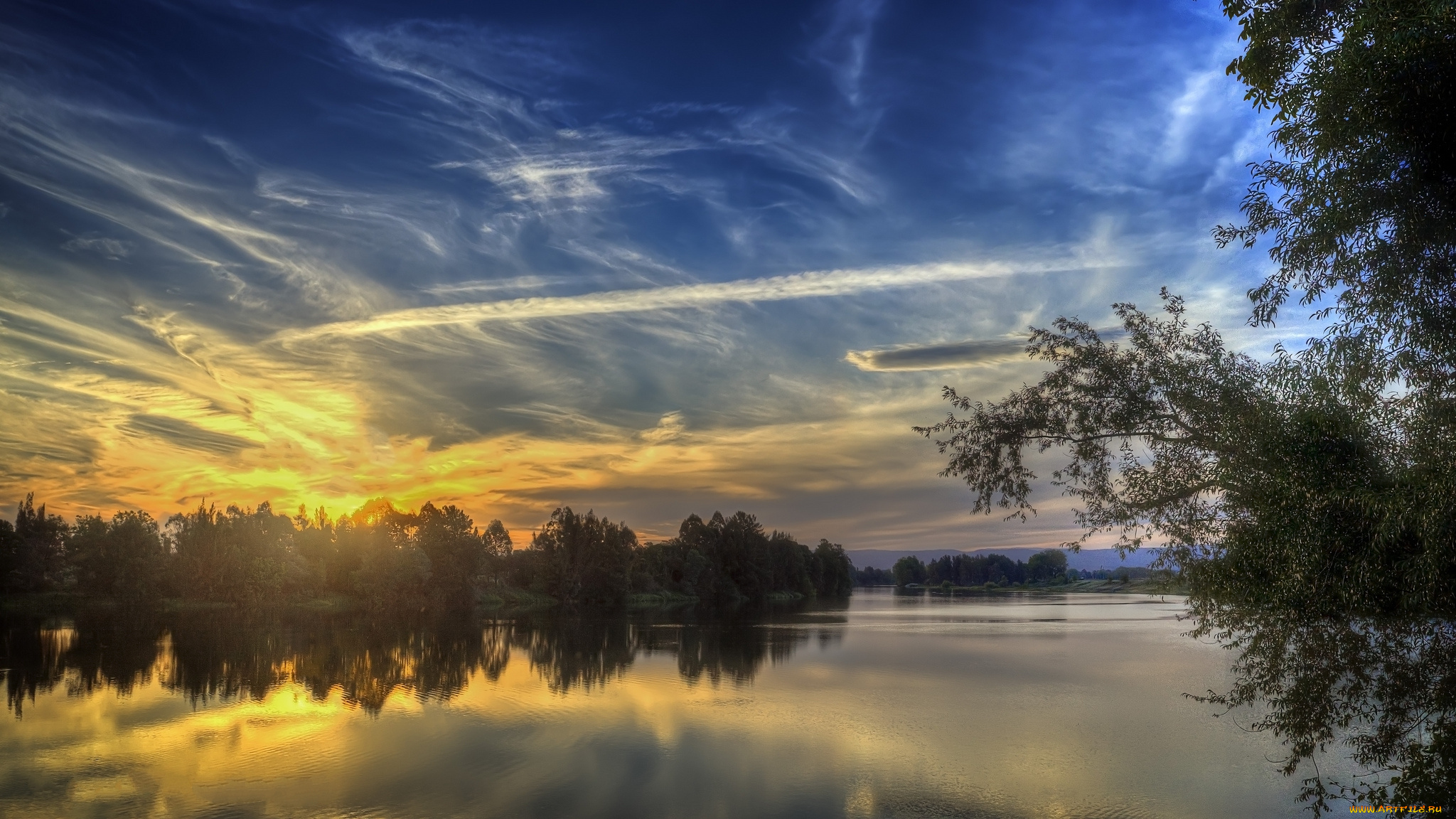 природа, реки, озера, лес, река